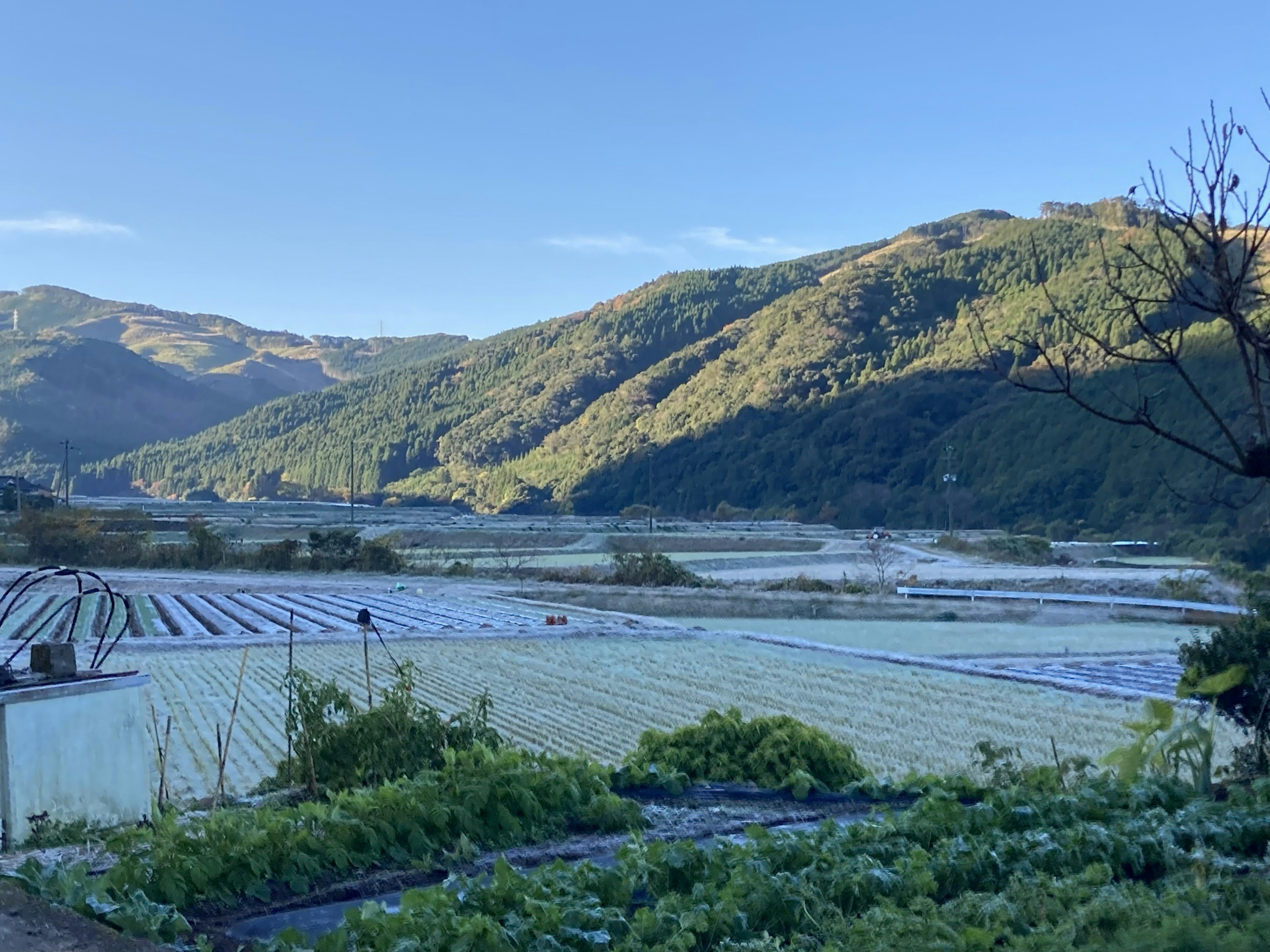 Scenic farm landscape surrounded by mountains featuring green crops and plastic covers