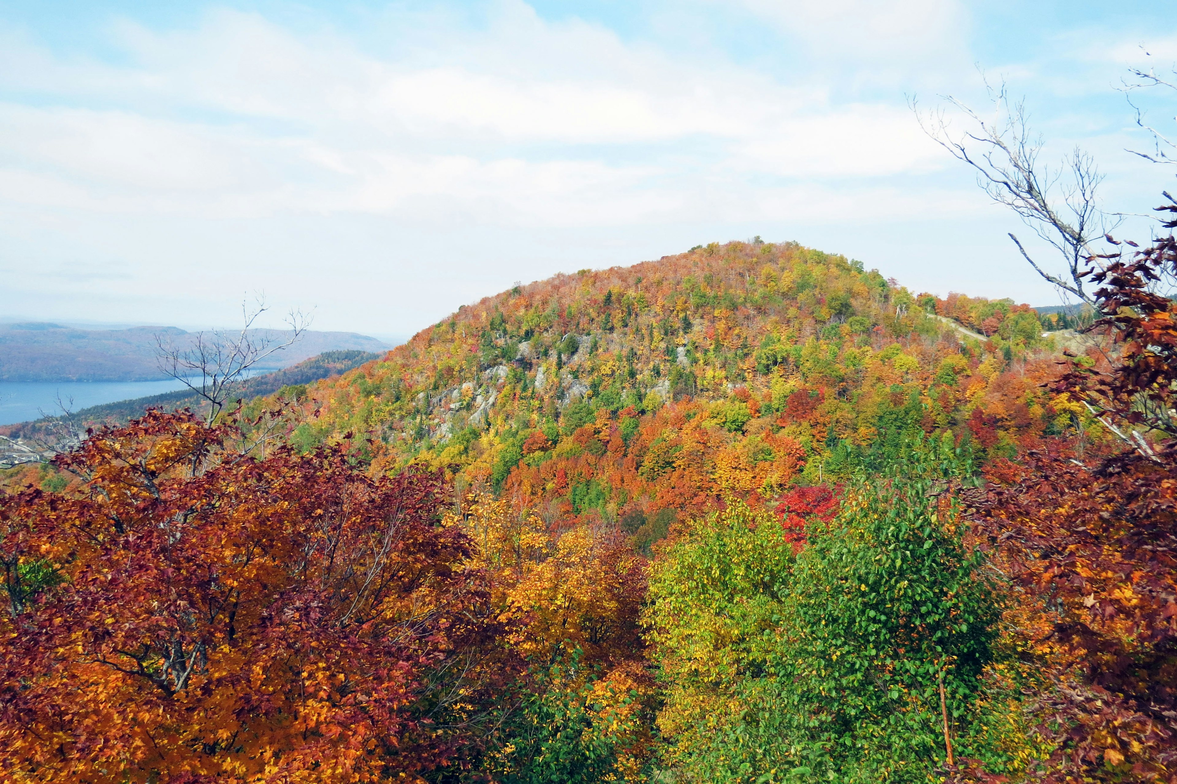 Une vue pittoresque d'une colline entourée de feuillage d'automne coloré