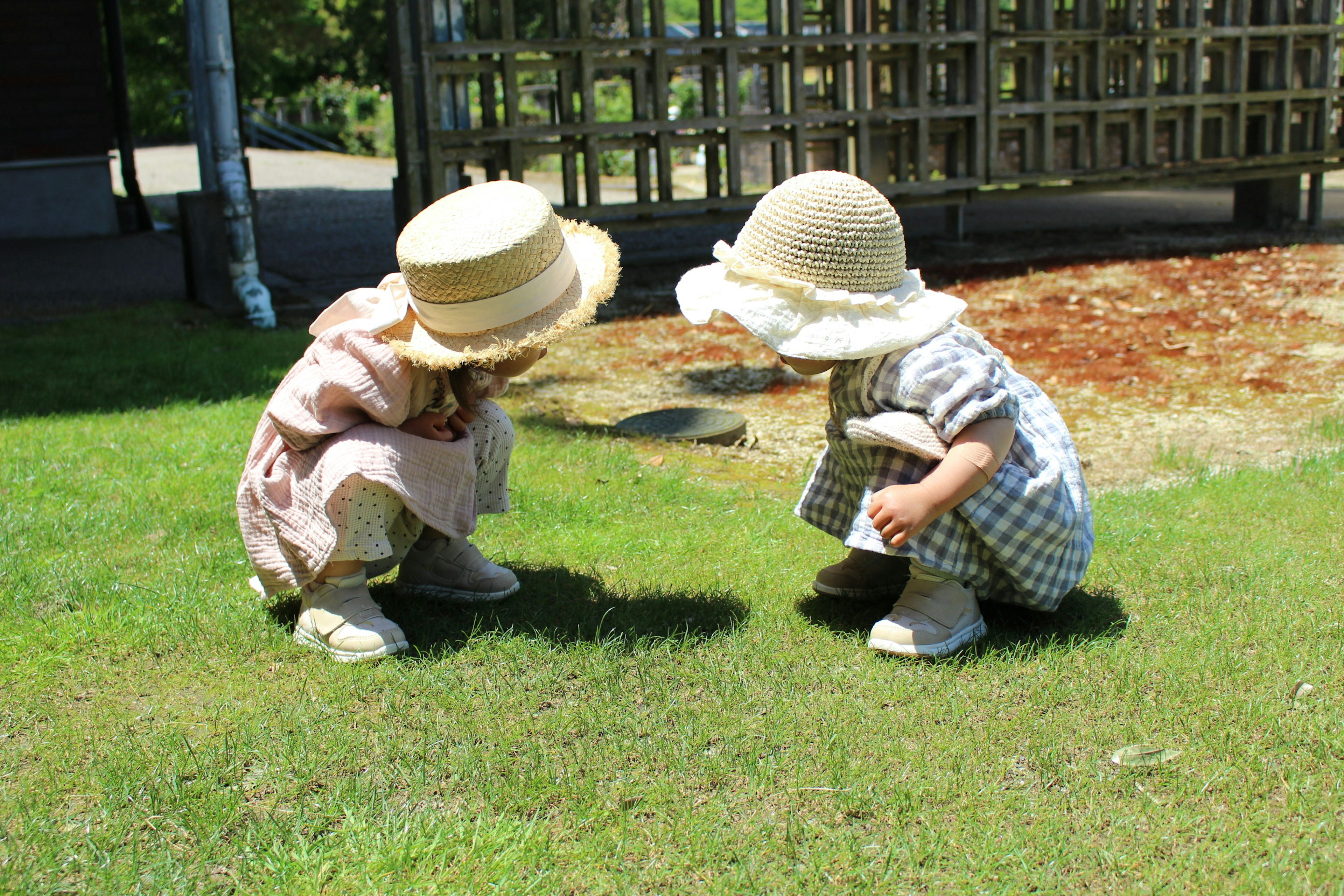 Dua anak membungkuk di atas rumput melihat sesuatu