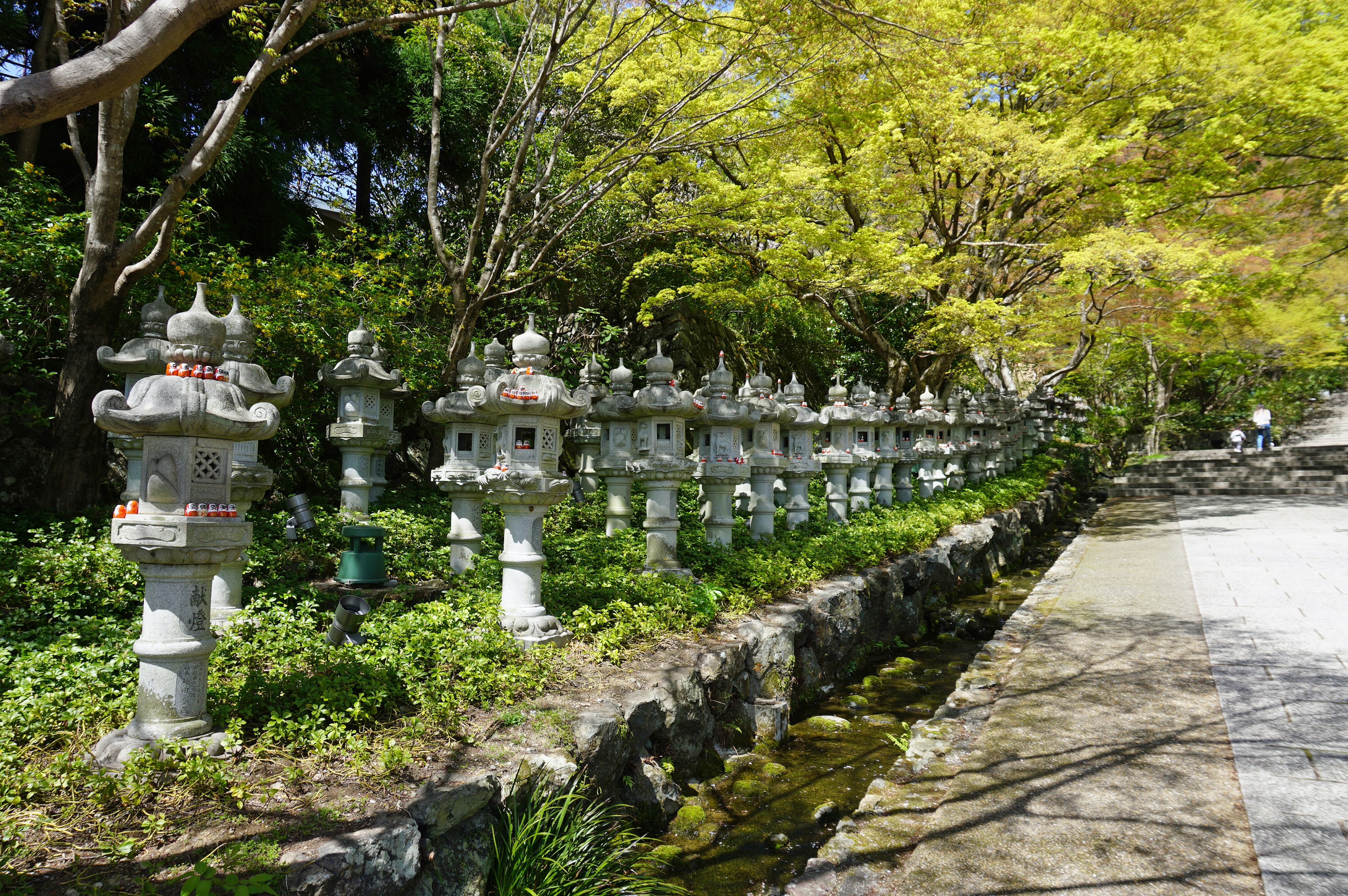 Row of stone lanterns surrounded by lush greenery and trees