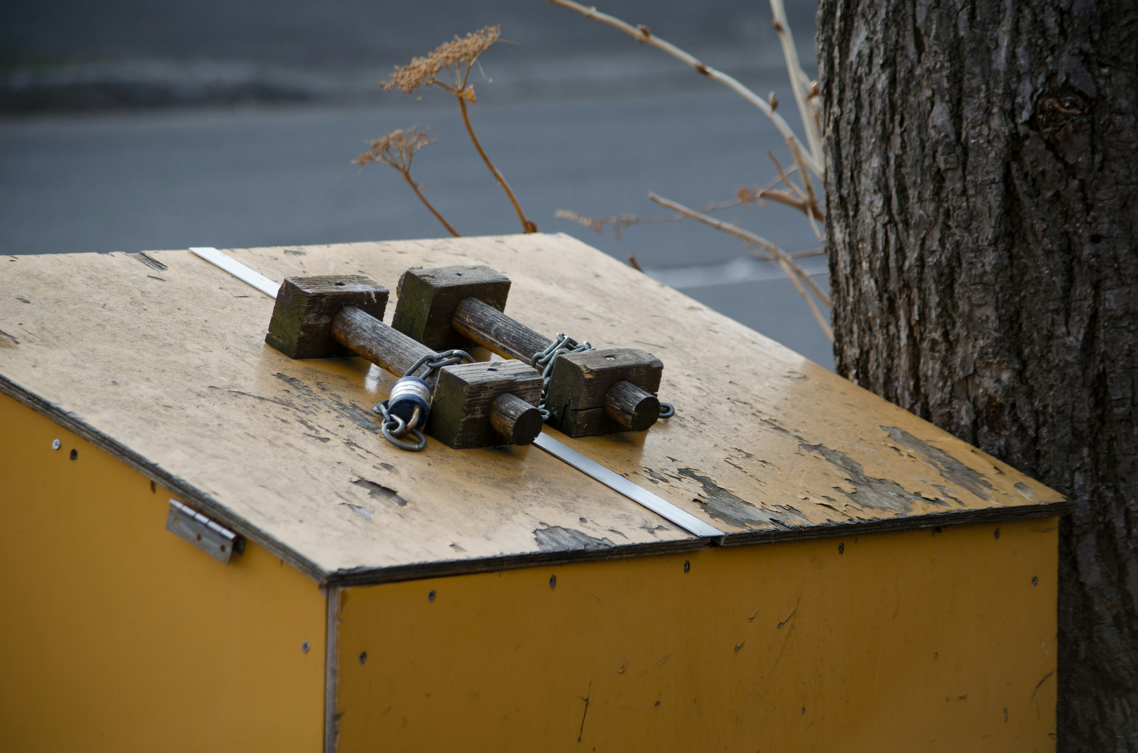 Dos mancuernas sobre una caja amarilla junto a un tronco de árbol