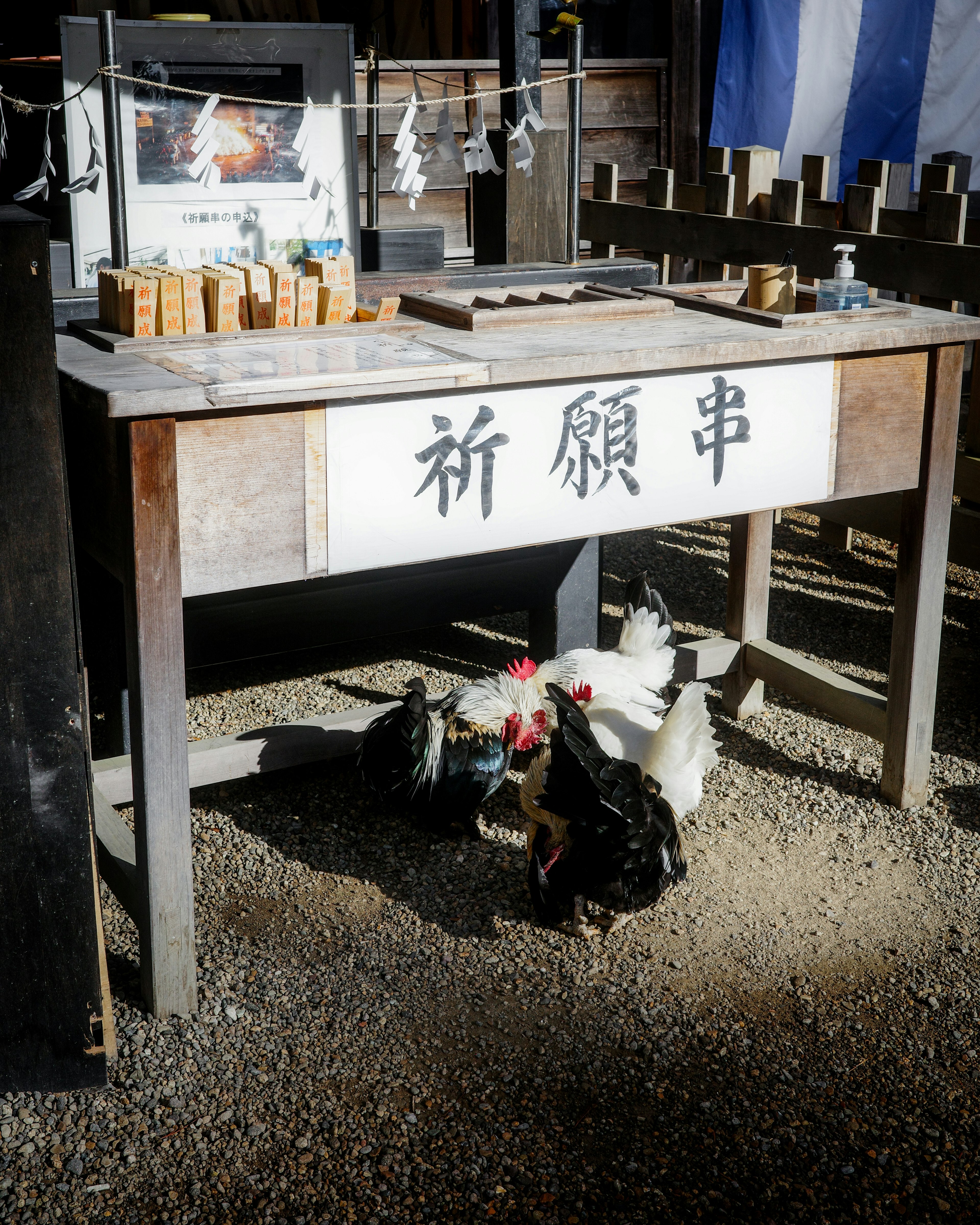 Una mesa para oraciones con gallinas cerca