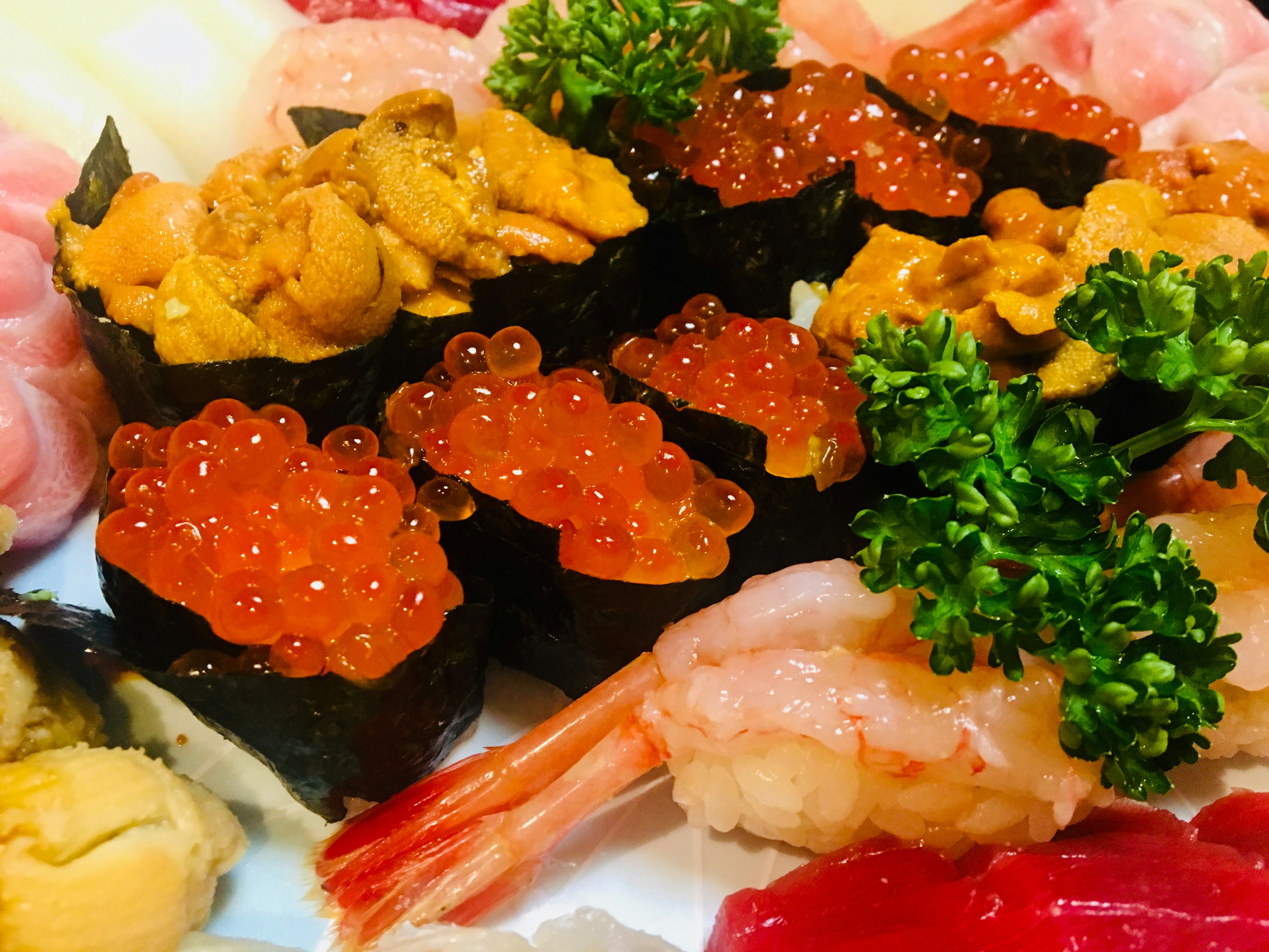 Colorful sushi platter featuring fresh uni and ikura sushi garnished with shrimp and parsley