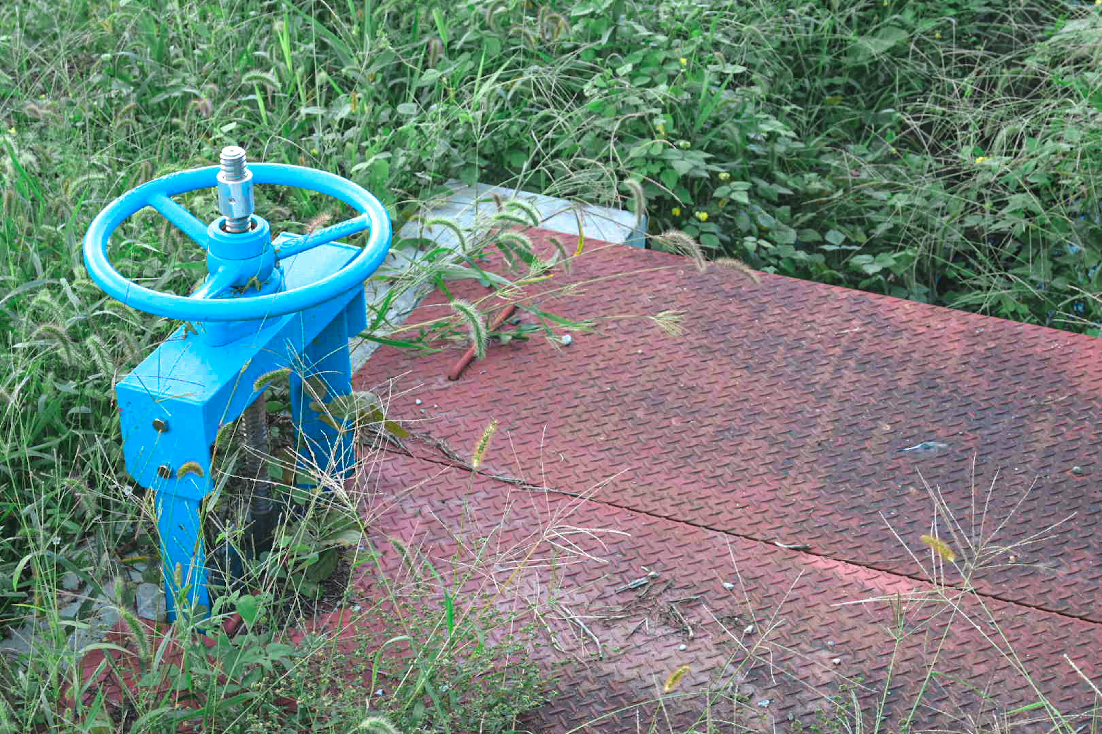 A blue valve surrounded by grass on a red platform