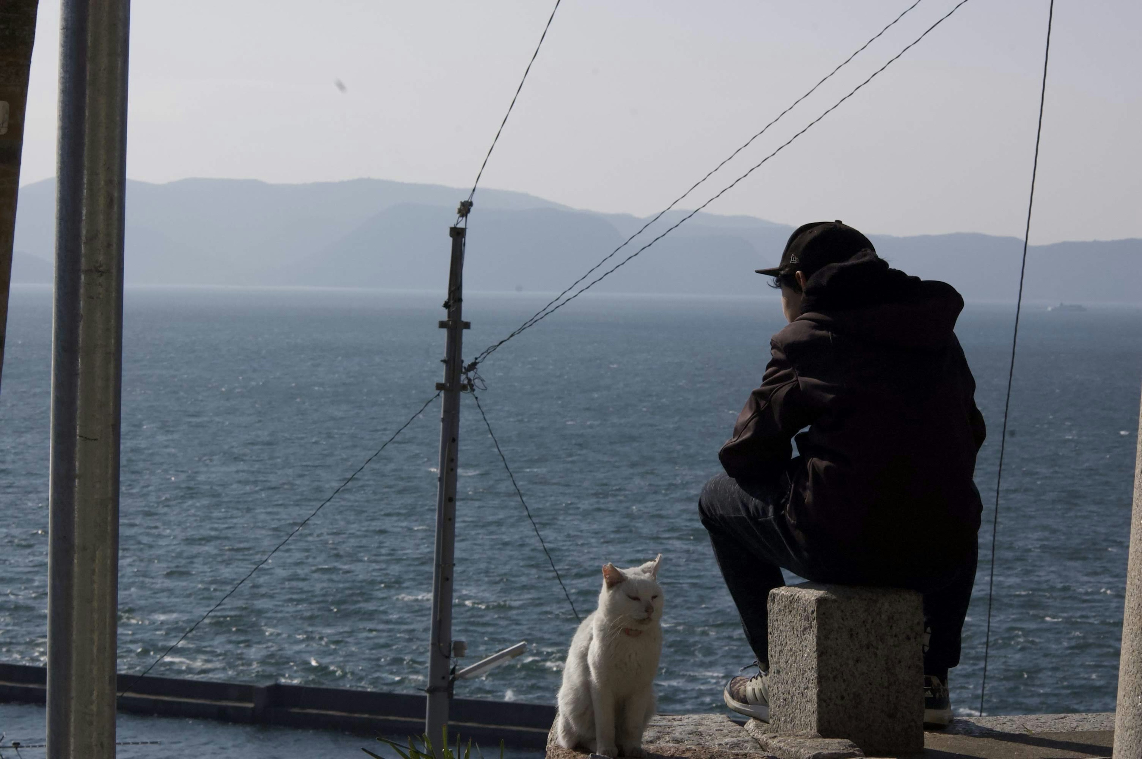 Ein Mann, der auf das Meer schaut, mit einer weißen Katze neben ihm