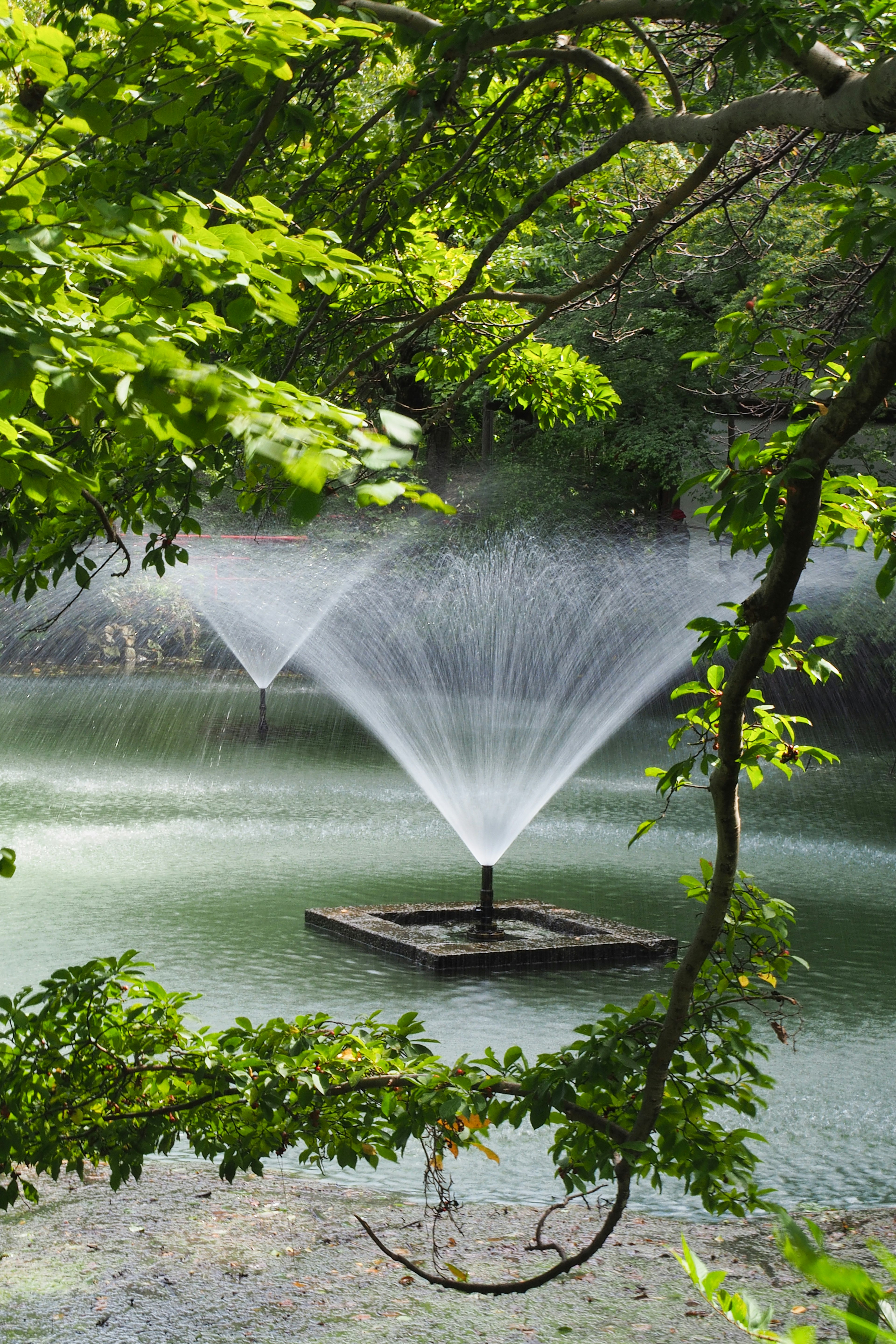 Ein Brunnen in der Mitte eines Teiches umgeben von grünen Bäumen