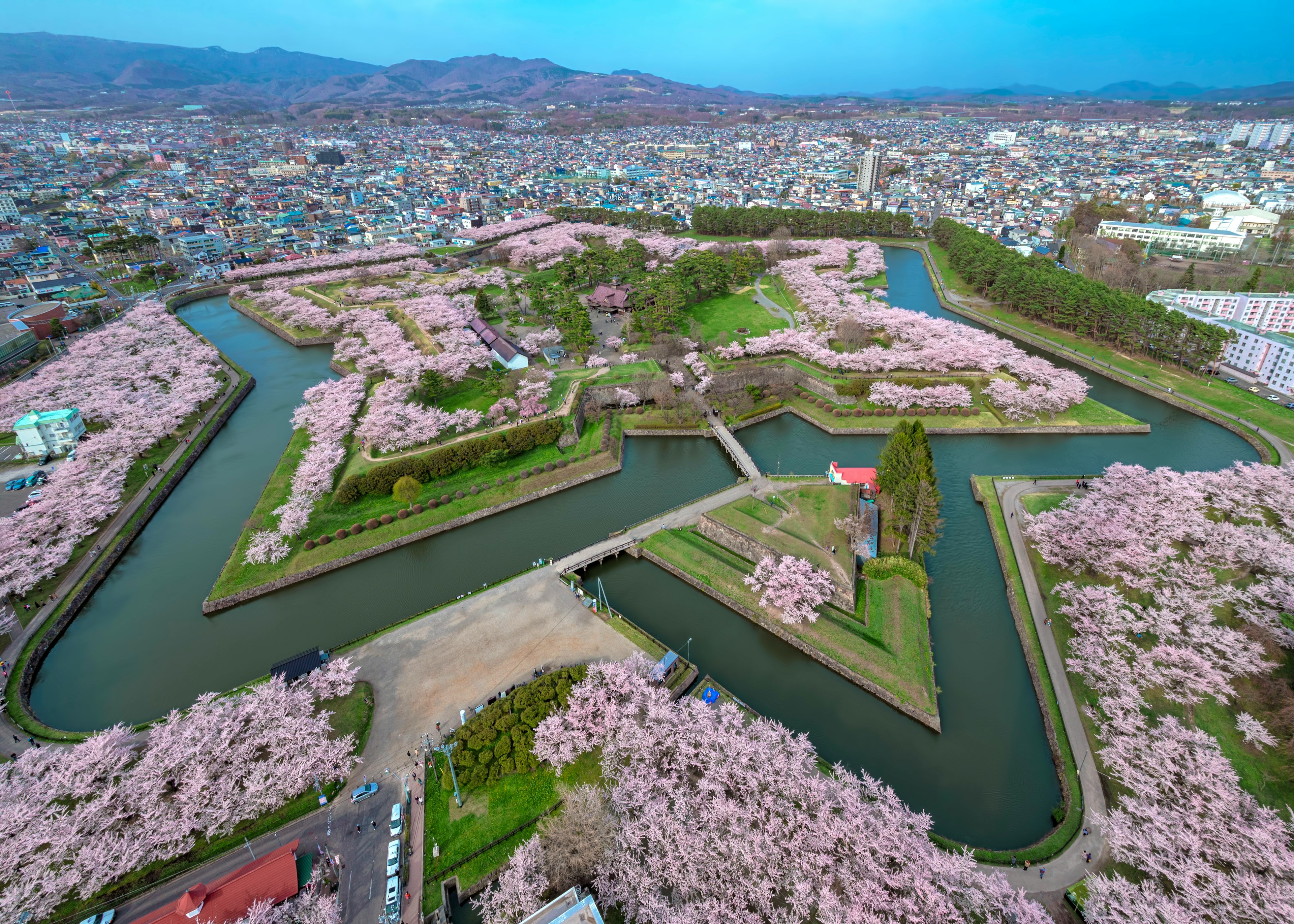 Vista aérea de un parque con cerezos en flor y ríos sinuosos