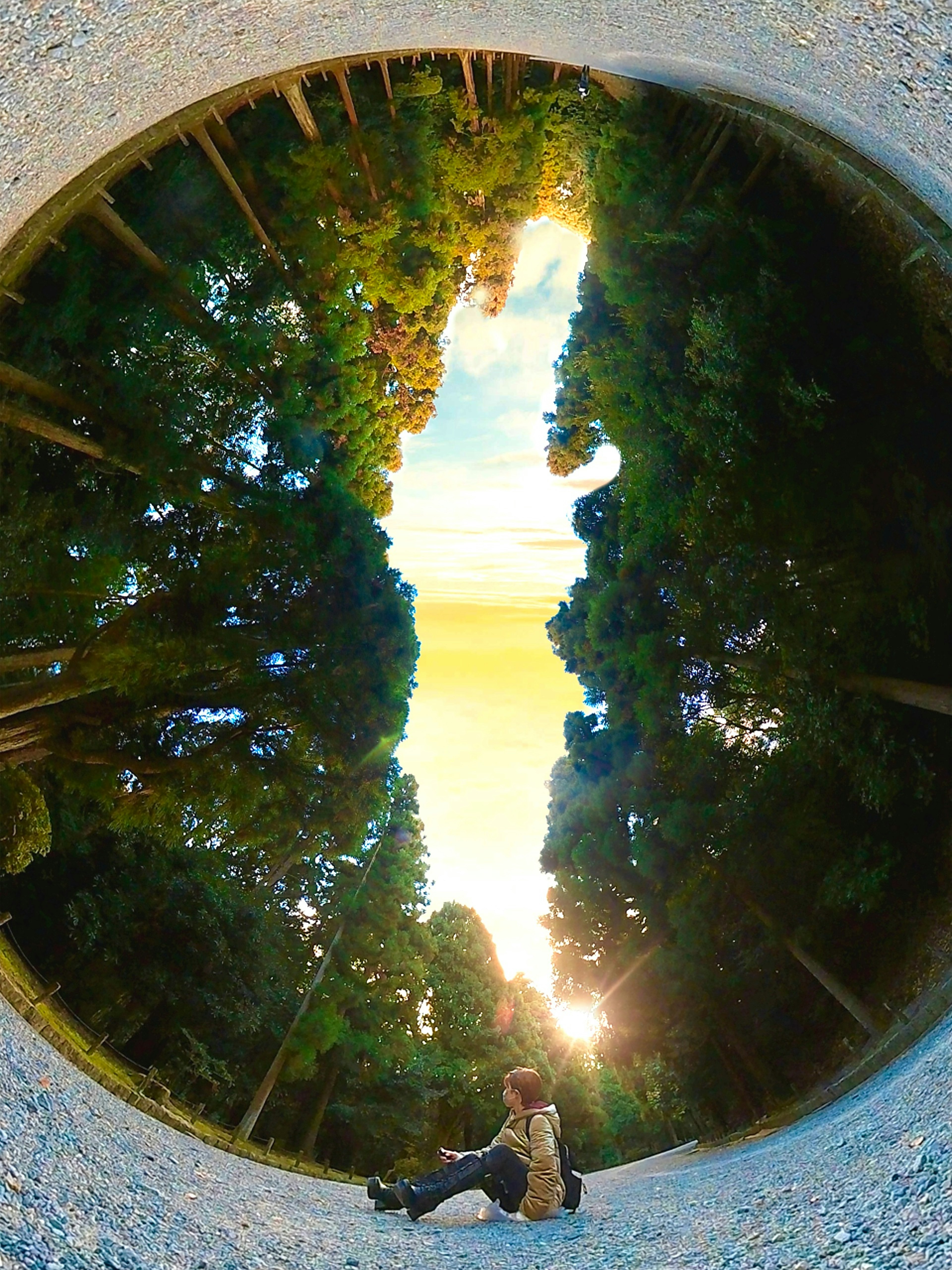 Une personne assise entourée d'arbres verts dans un paysage magnifique