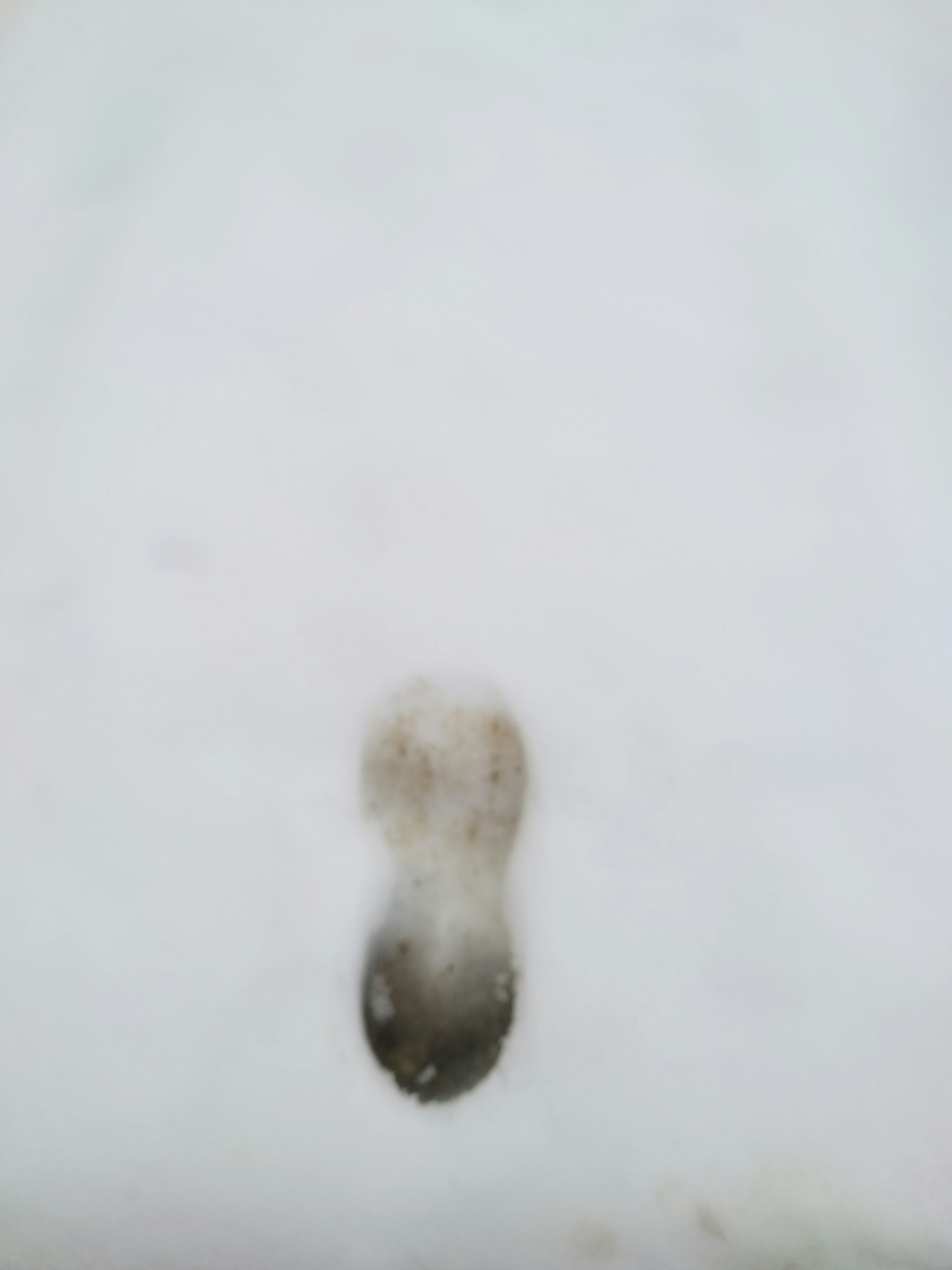 Close-up of a shoe print on snow