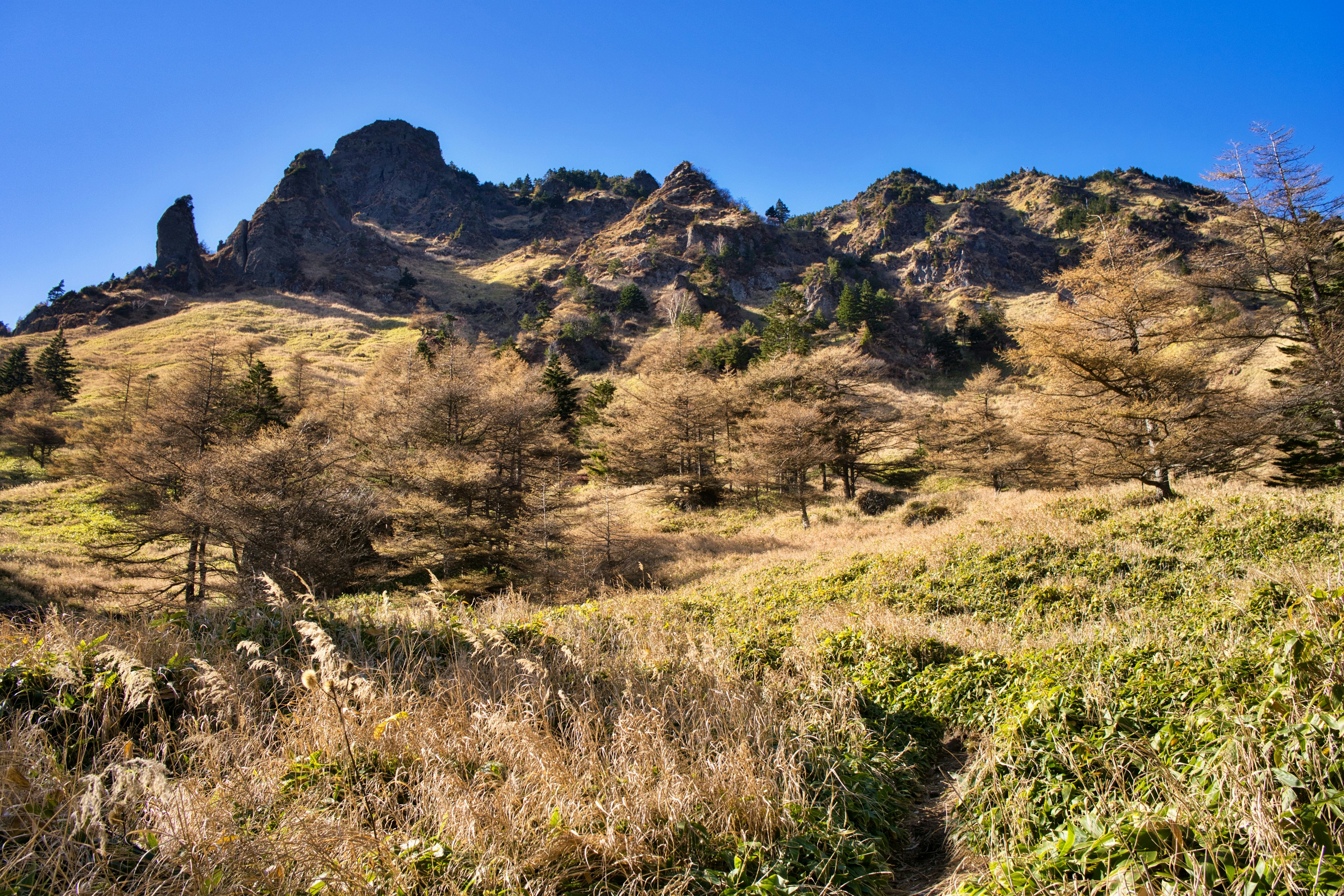 青空の下に広がる山の風景で、乾燥した草原と木々が見える