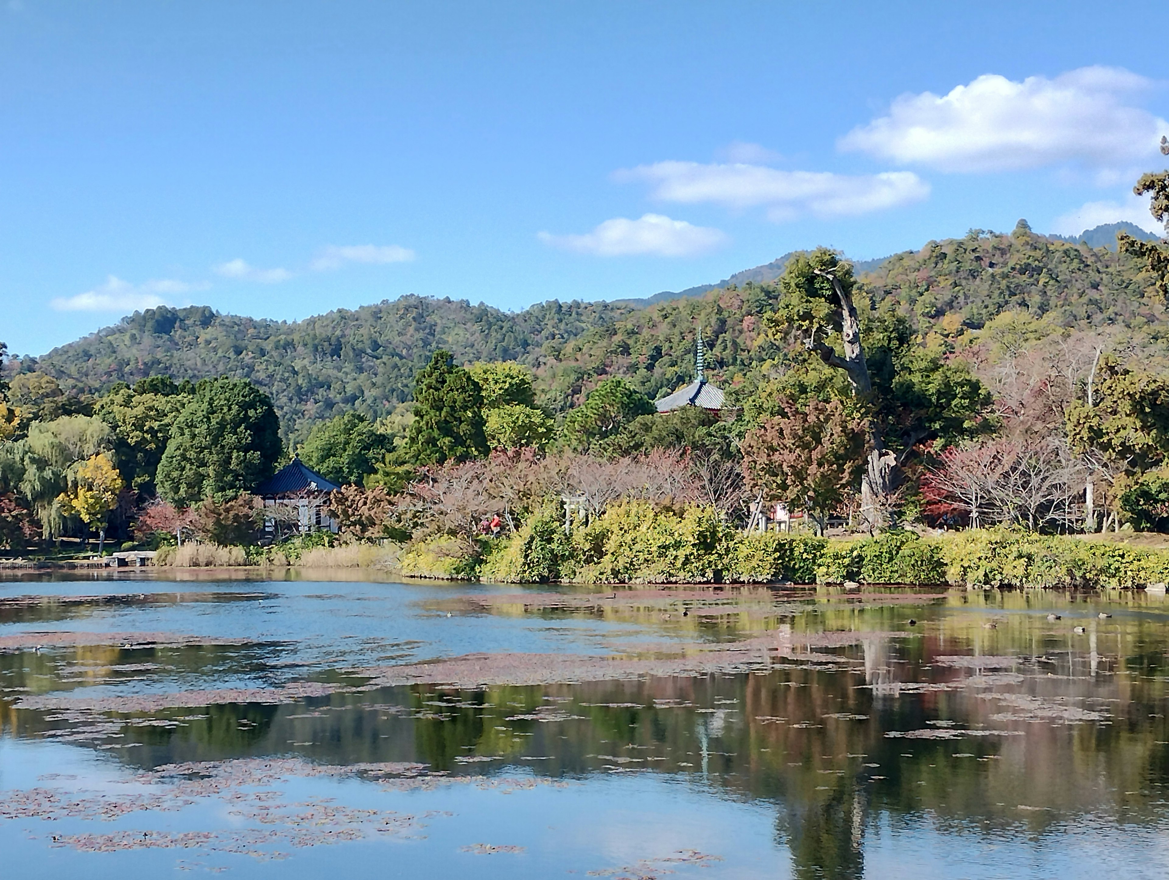 Vista escénica de un lago rodeado de colinas cielo azul claro y reflejos en el agua