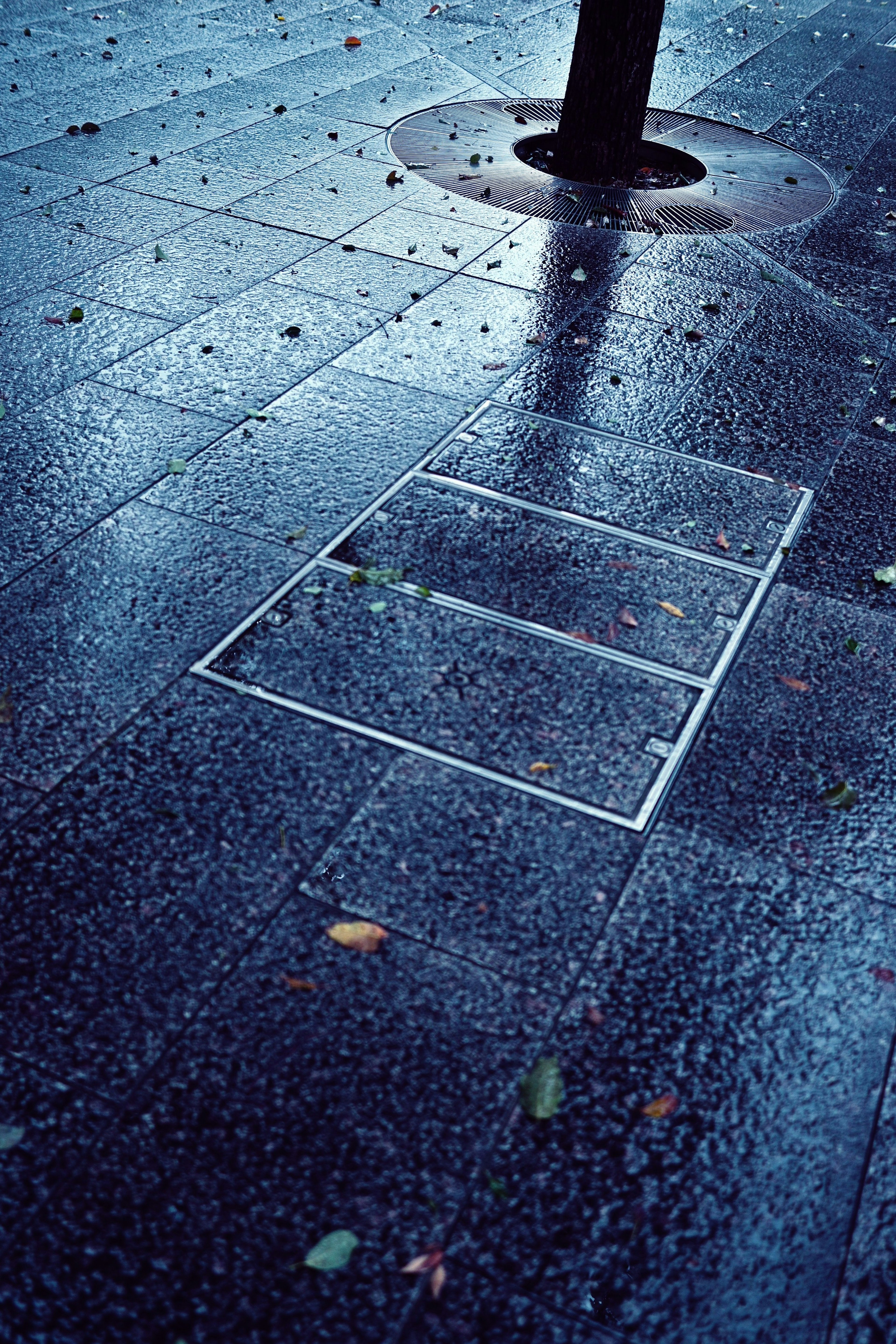 Ein weißes rechteckiges Umriss auf einem nassen Gehweg mit dem Schatten eines Baumes