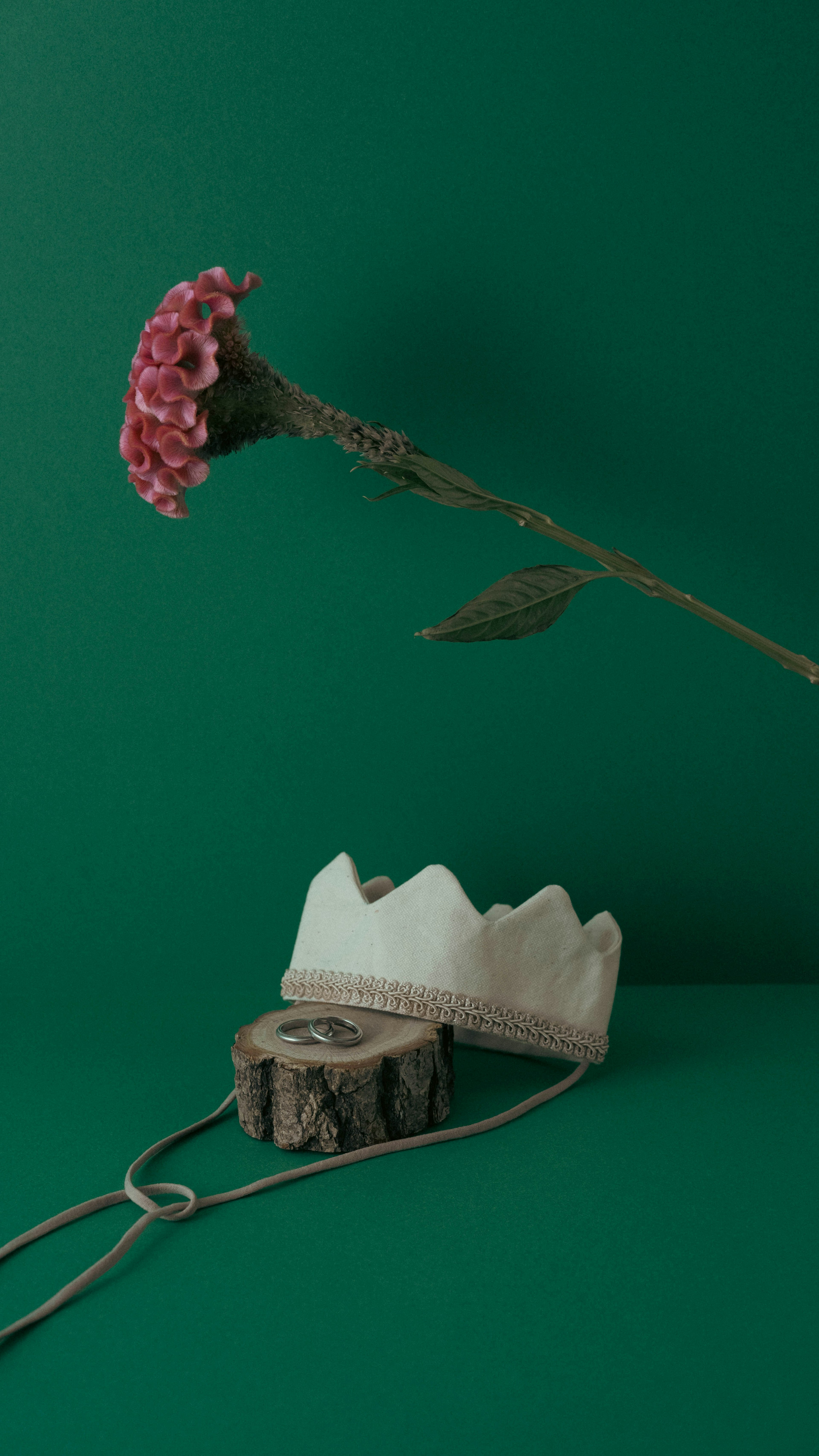 Une nature morte avec une fleur rose et une couronne en céramique sur fond vert