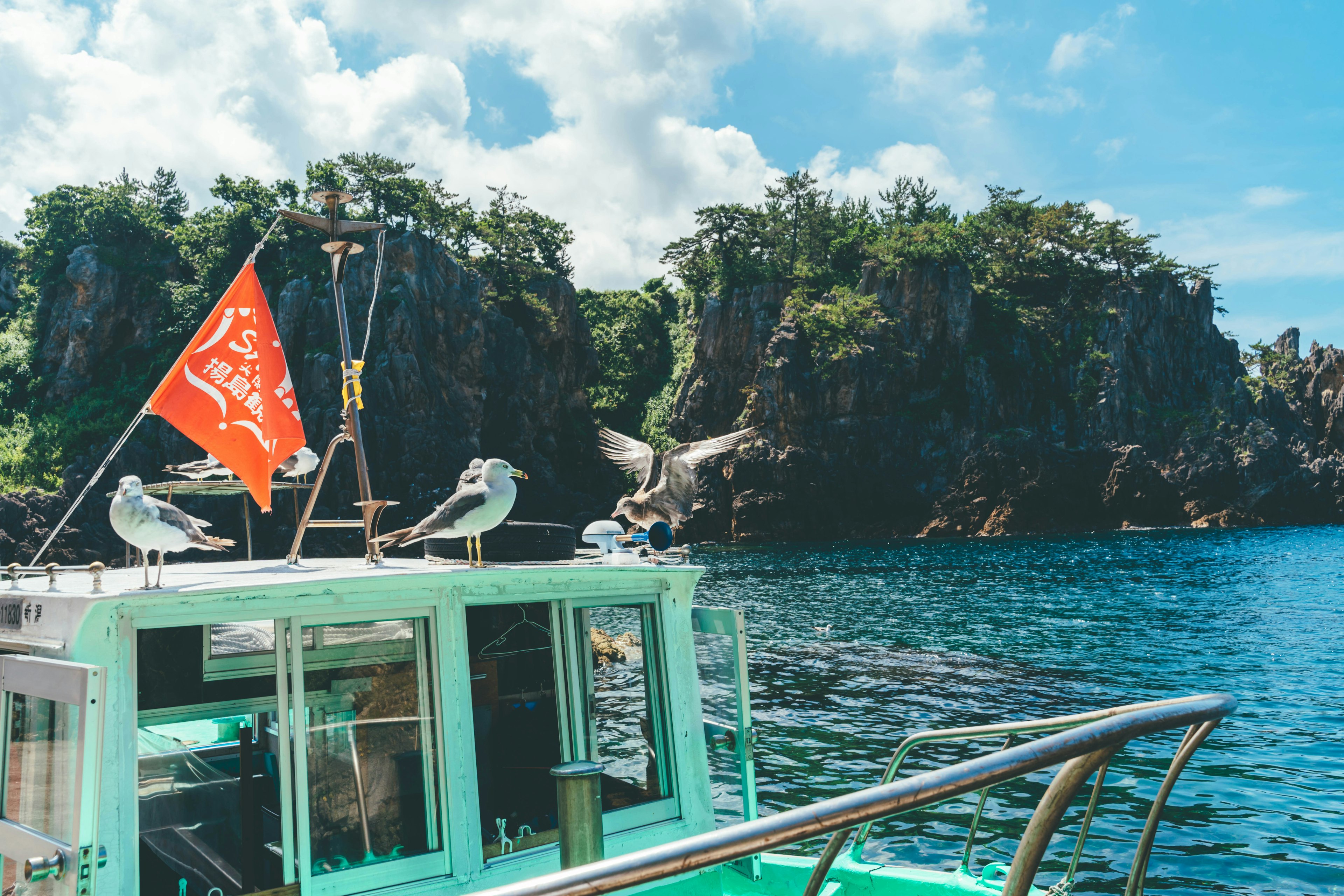 Des mouettes perchées sur un bateau avec un drapeau rouge devant une mer bleue et des falaises rocheuses