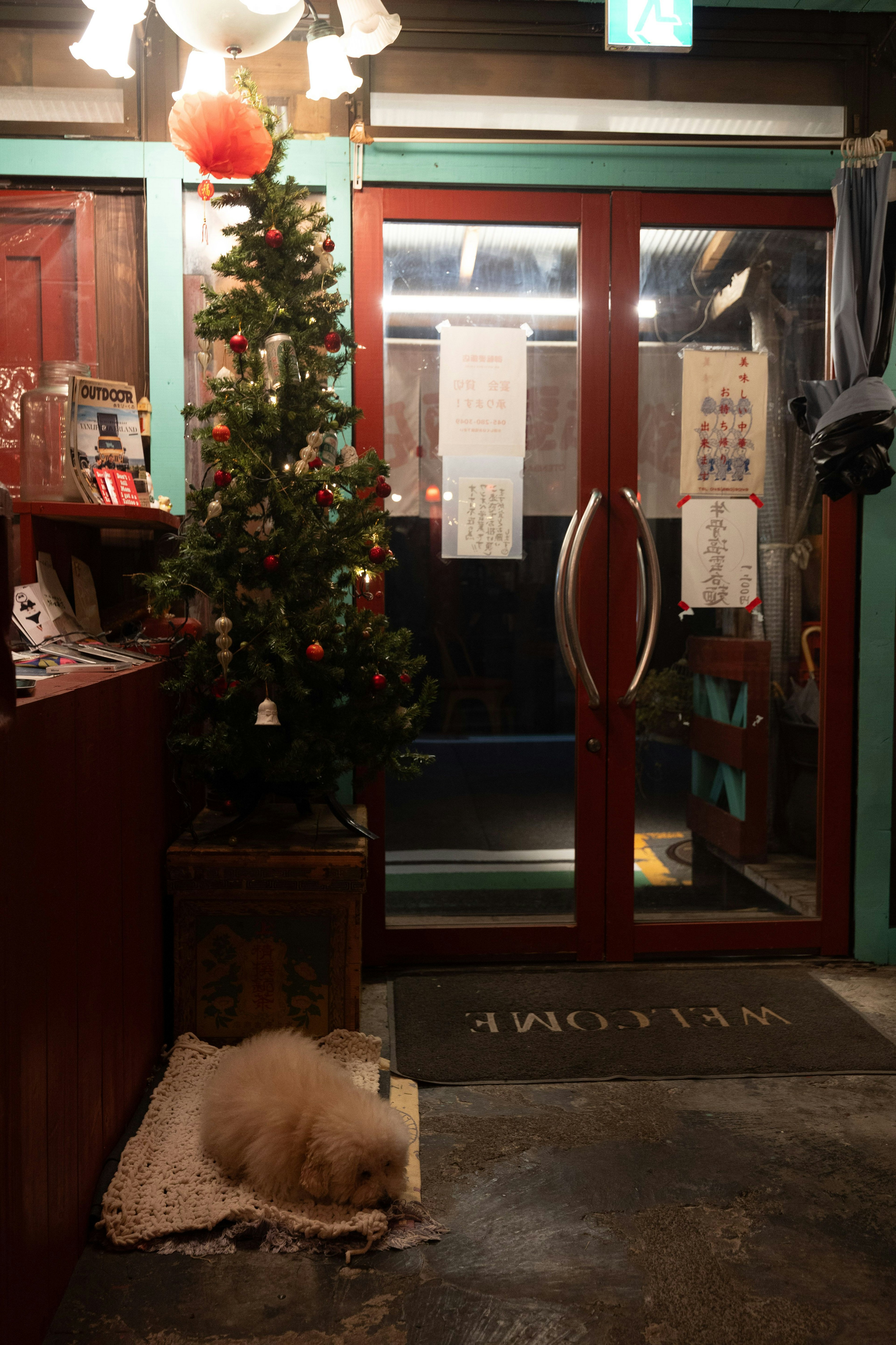 Entrada de un café con un árbol de Navidad y un perro durmiendo