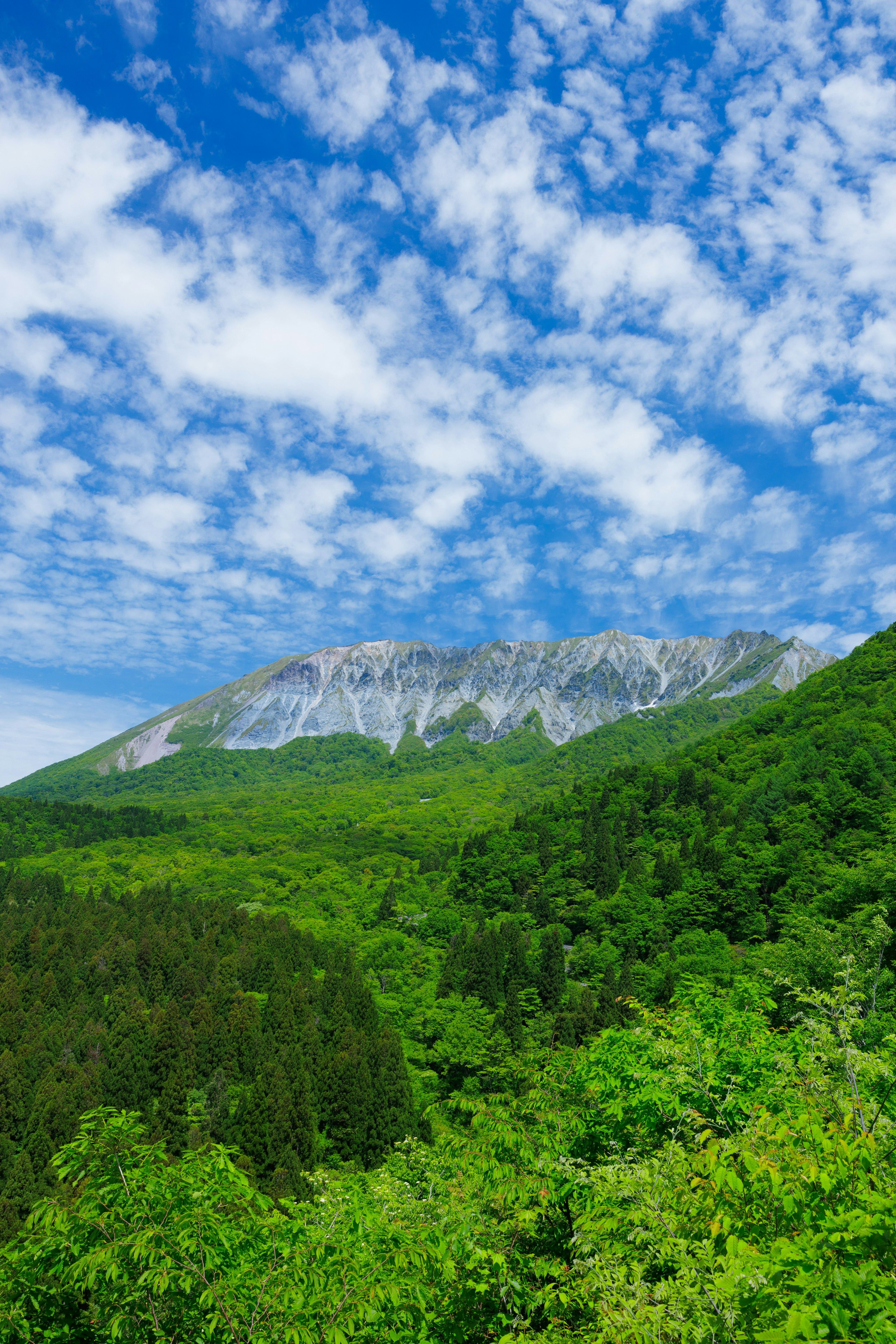 青い空と白い雲に囲まれた緑豊かな山々の風景