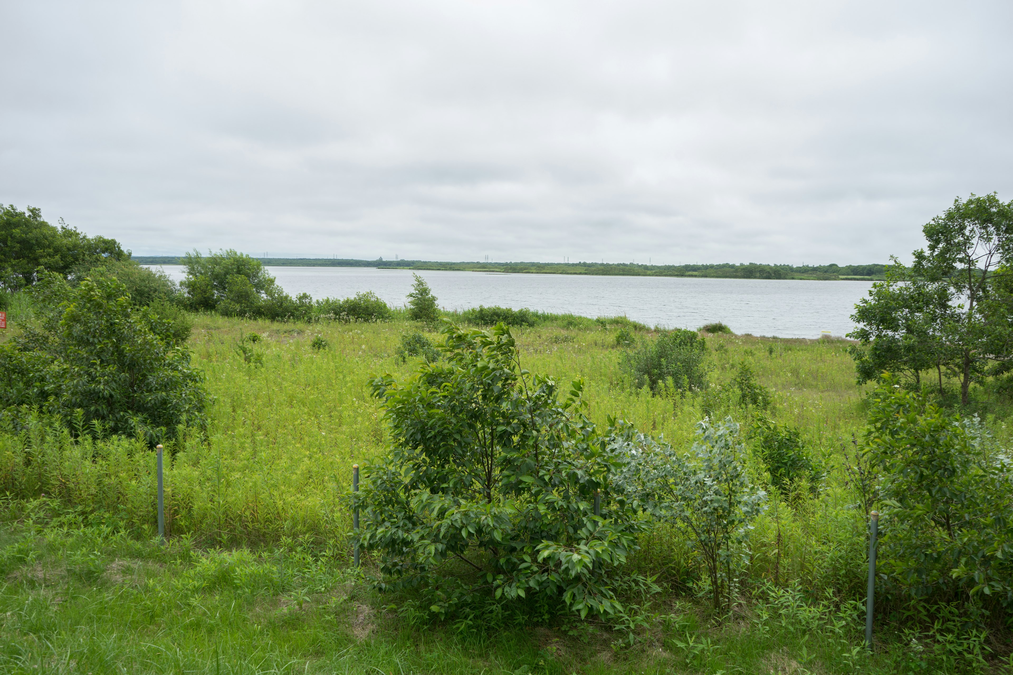 Ruhiger See mit umliegenden grünen Wiesen