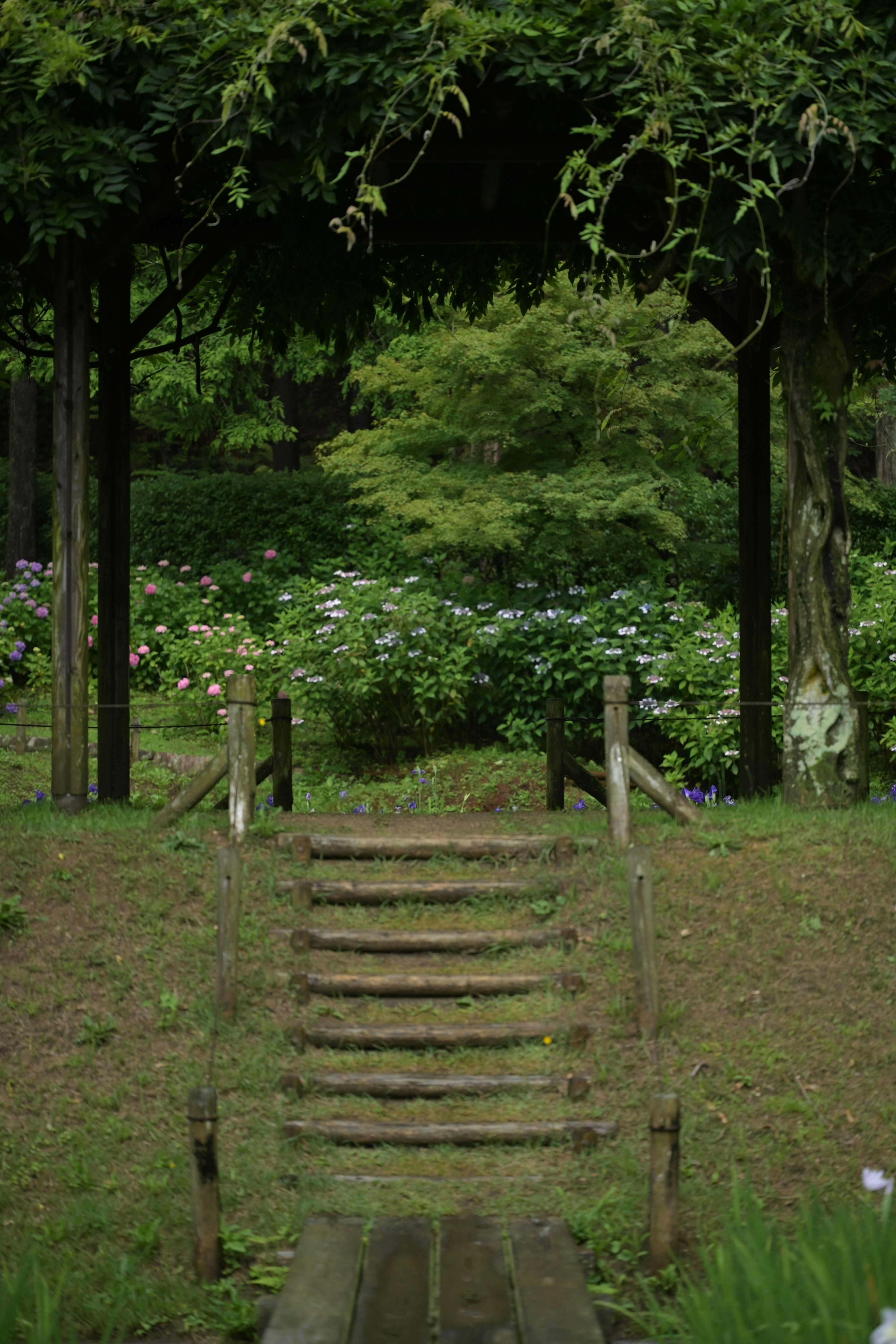 Holztreppe, die in einen üppigen Garten mit Bäumen und Blumen führt