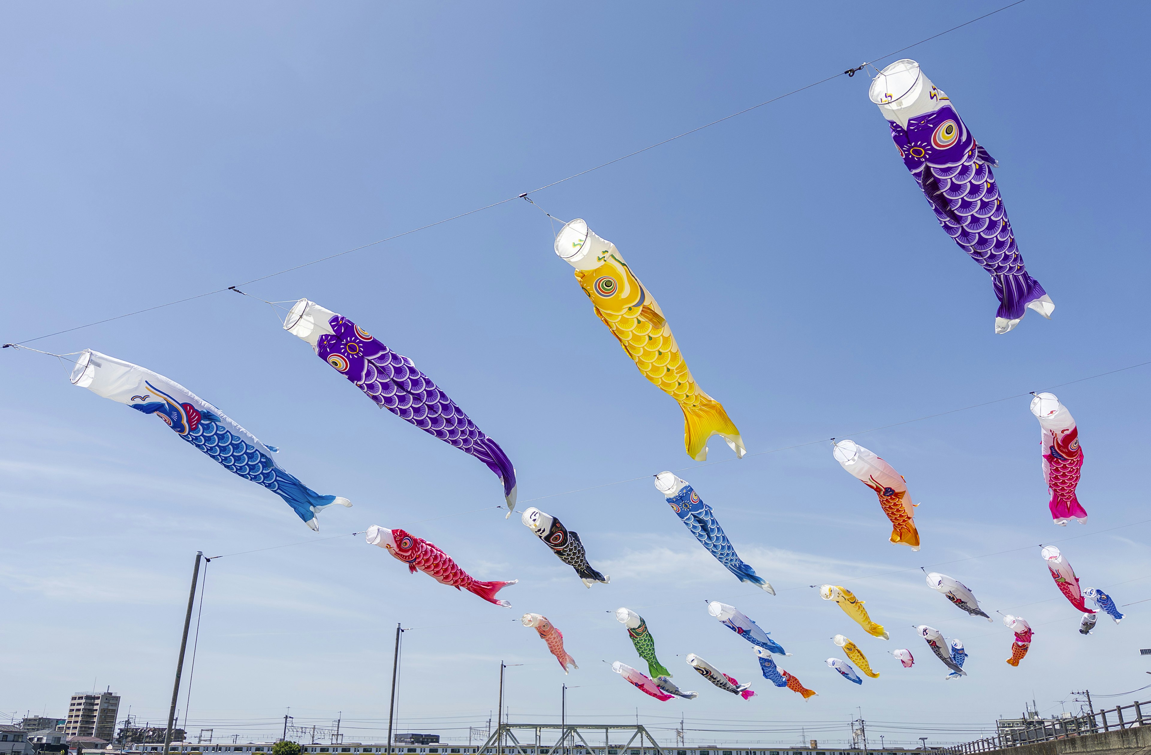 Koinobori coloridos volando en el cielo azul