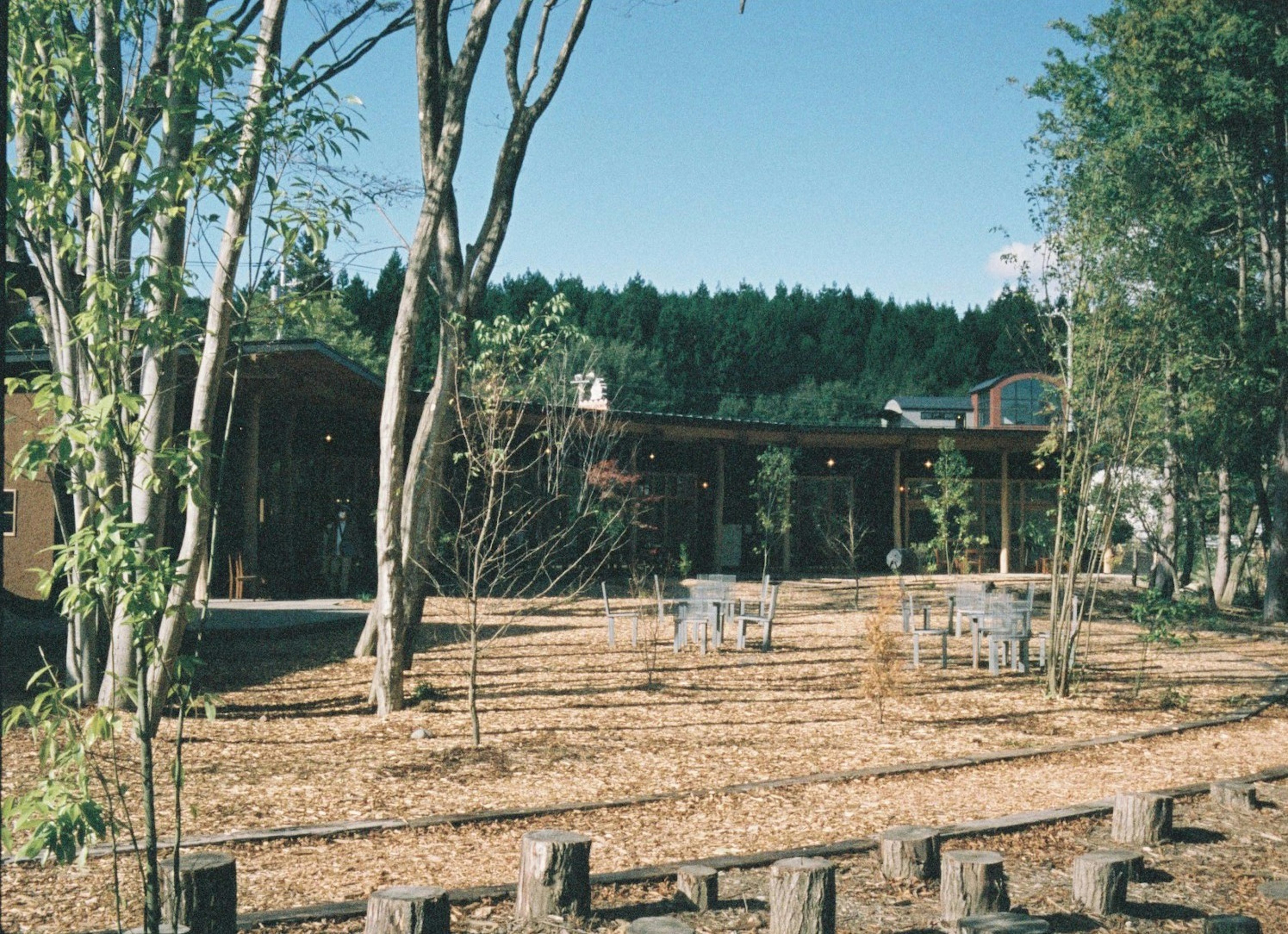 自然に囲まれたモダンな建物と庭の風景