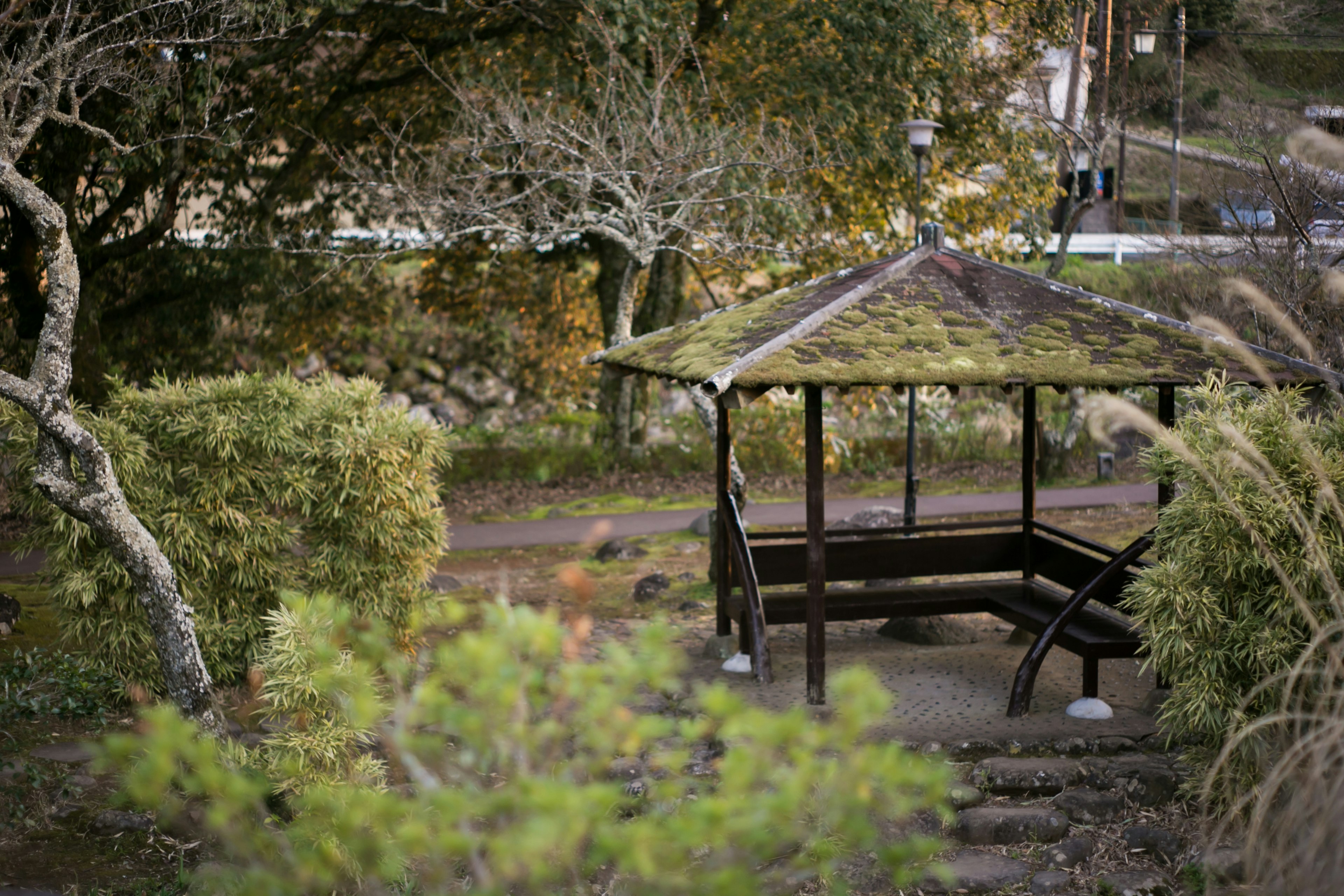 Un gazebo en bois serein entouré de verdure et d'arbres