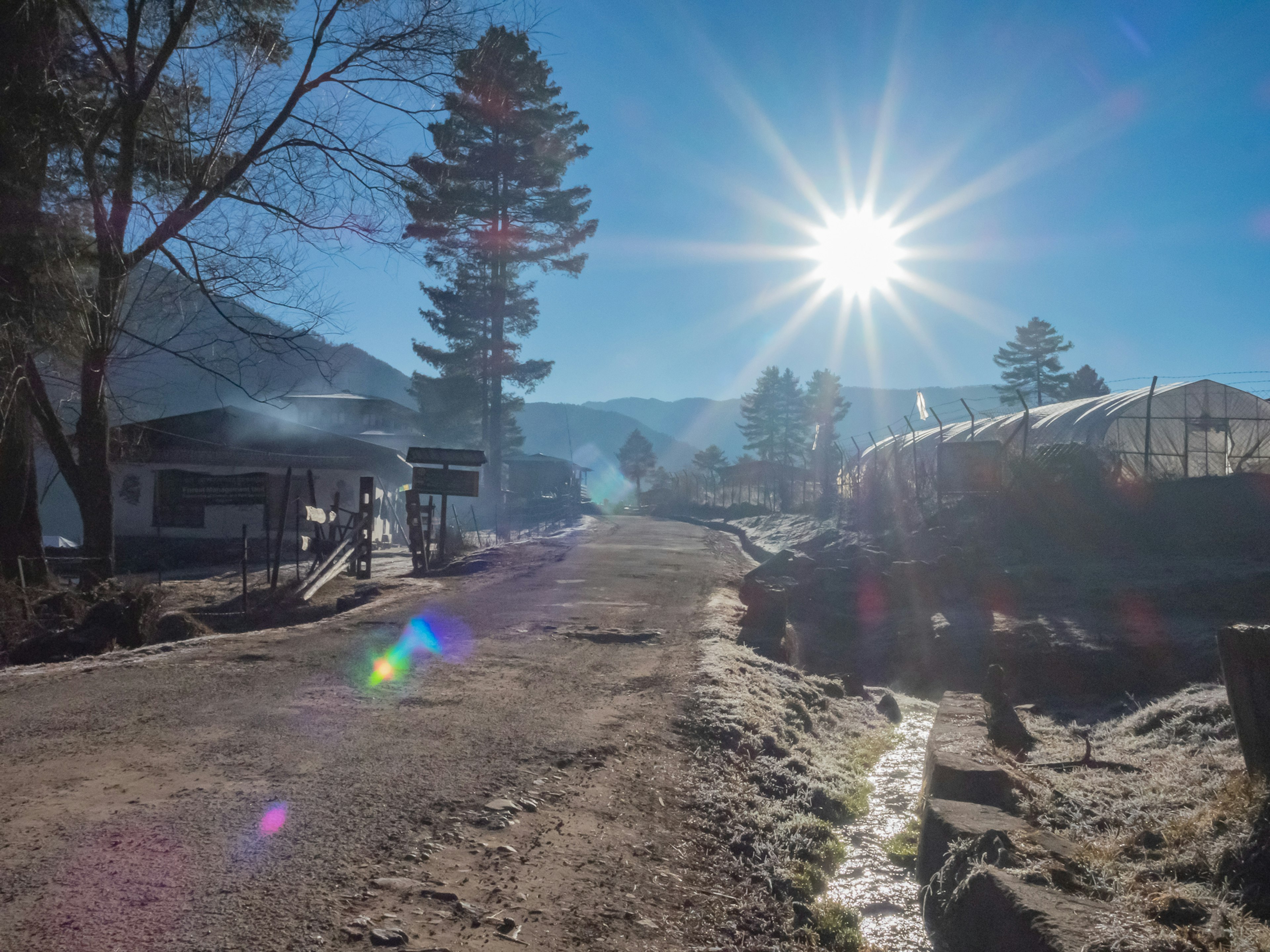 晴れた日の山道に沿った風景と太陽の光が輝く