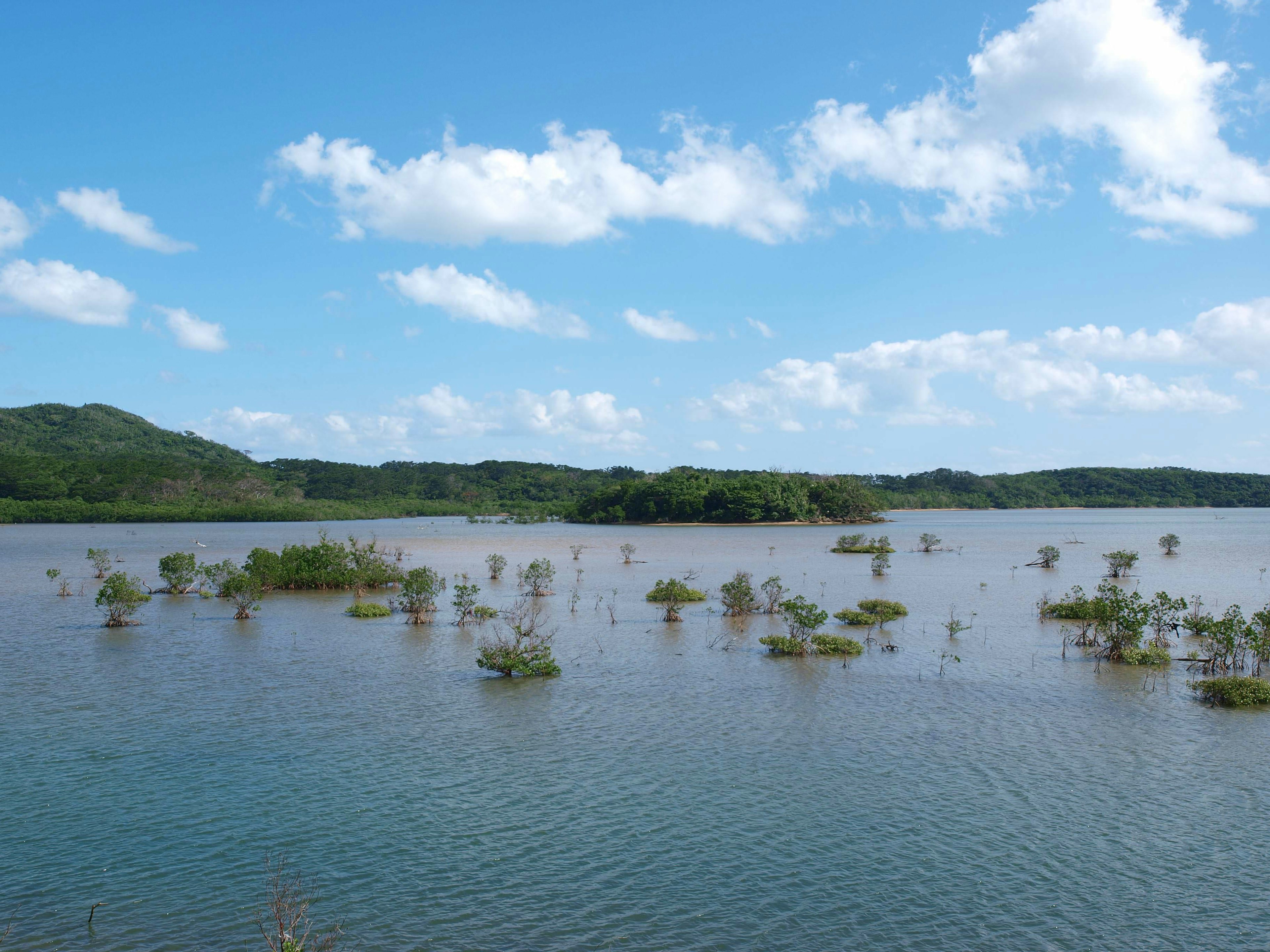 Calm water under a blue sky with small islands scattered