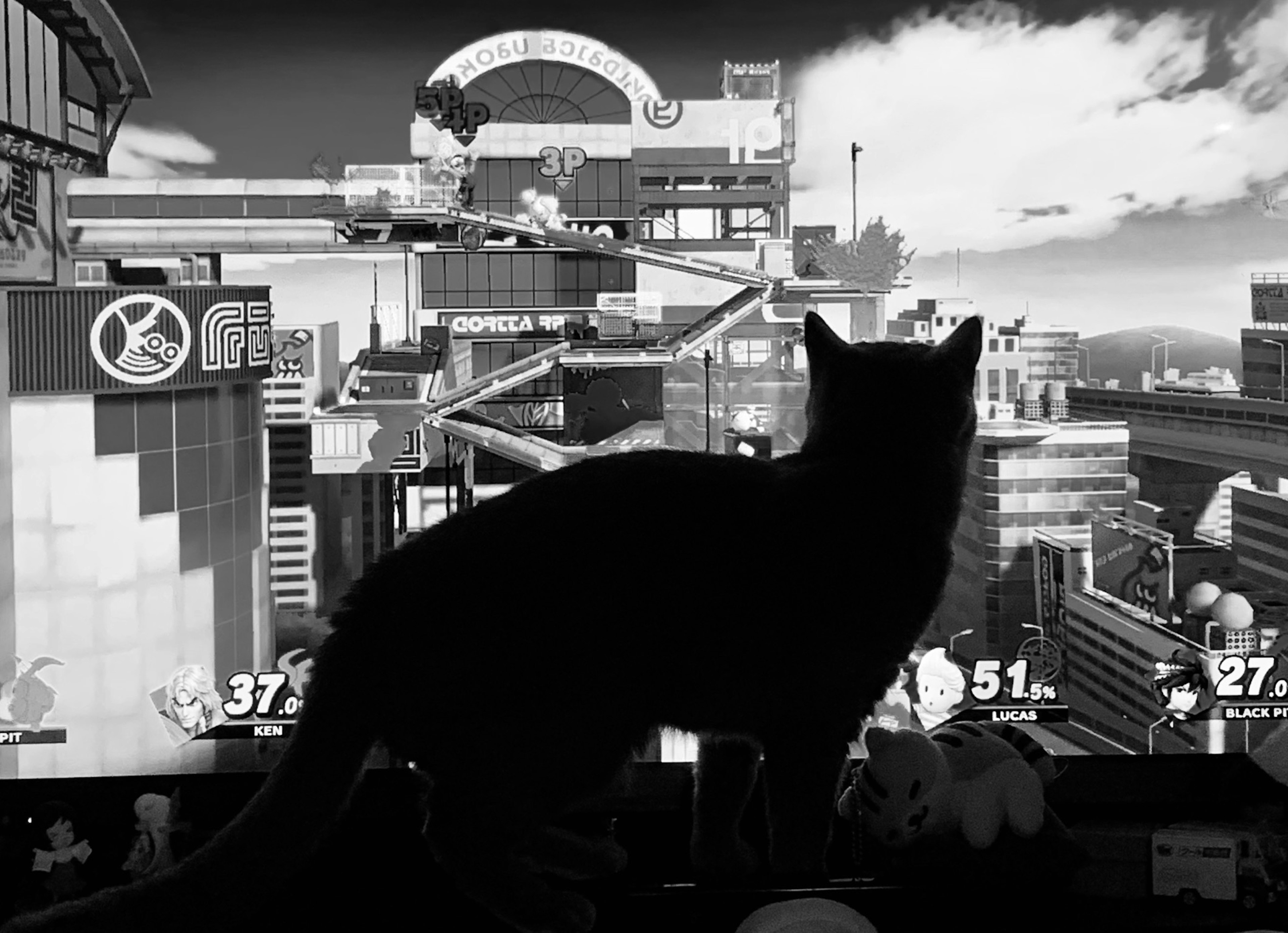 Silhouette di un gatto che guarda uno schermo di videogioco