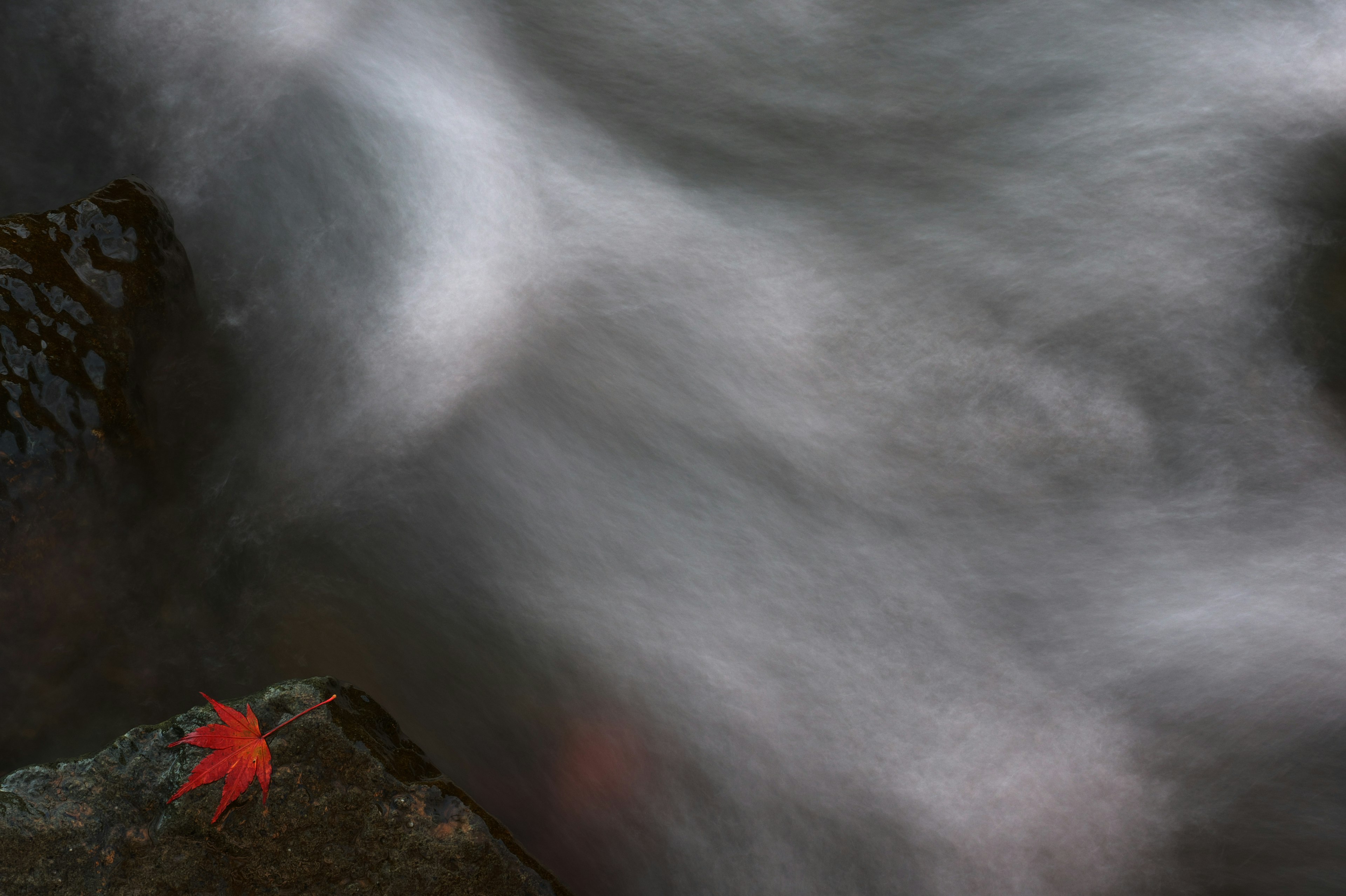 Una hoja roja apoyada en una roca en agua corriente