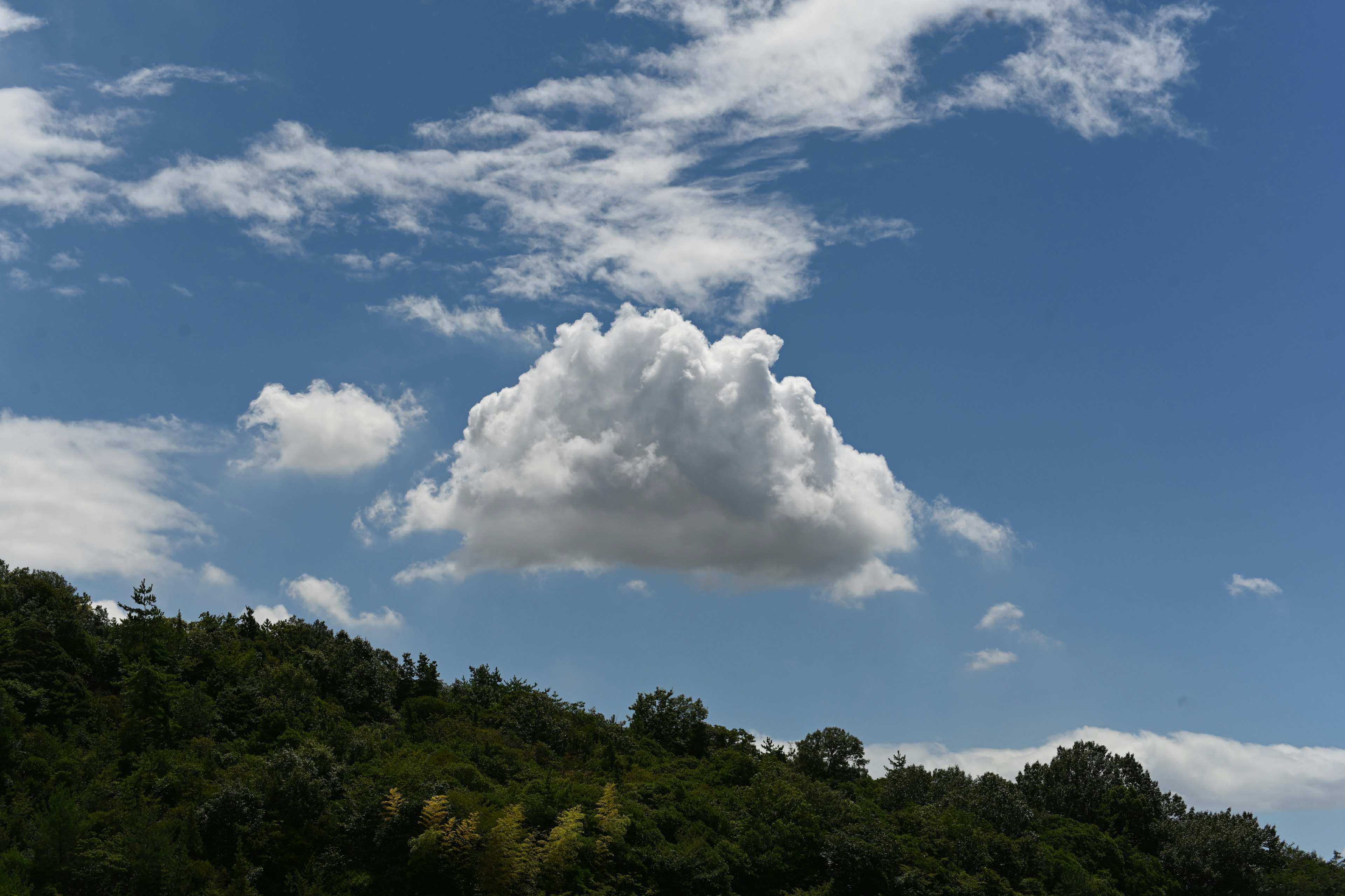 Eine weiße Wolke schwebt in einem blauen Himmel über grünen Hügeln