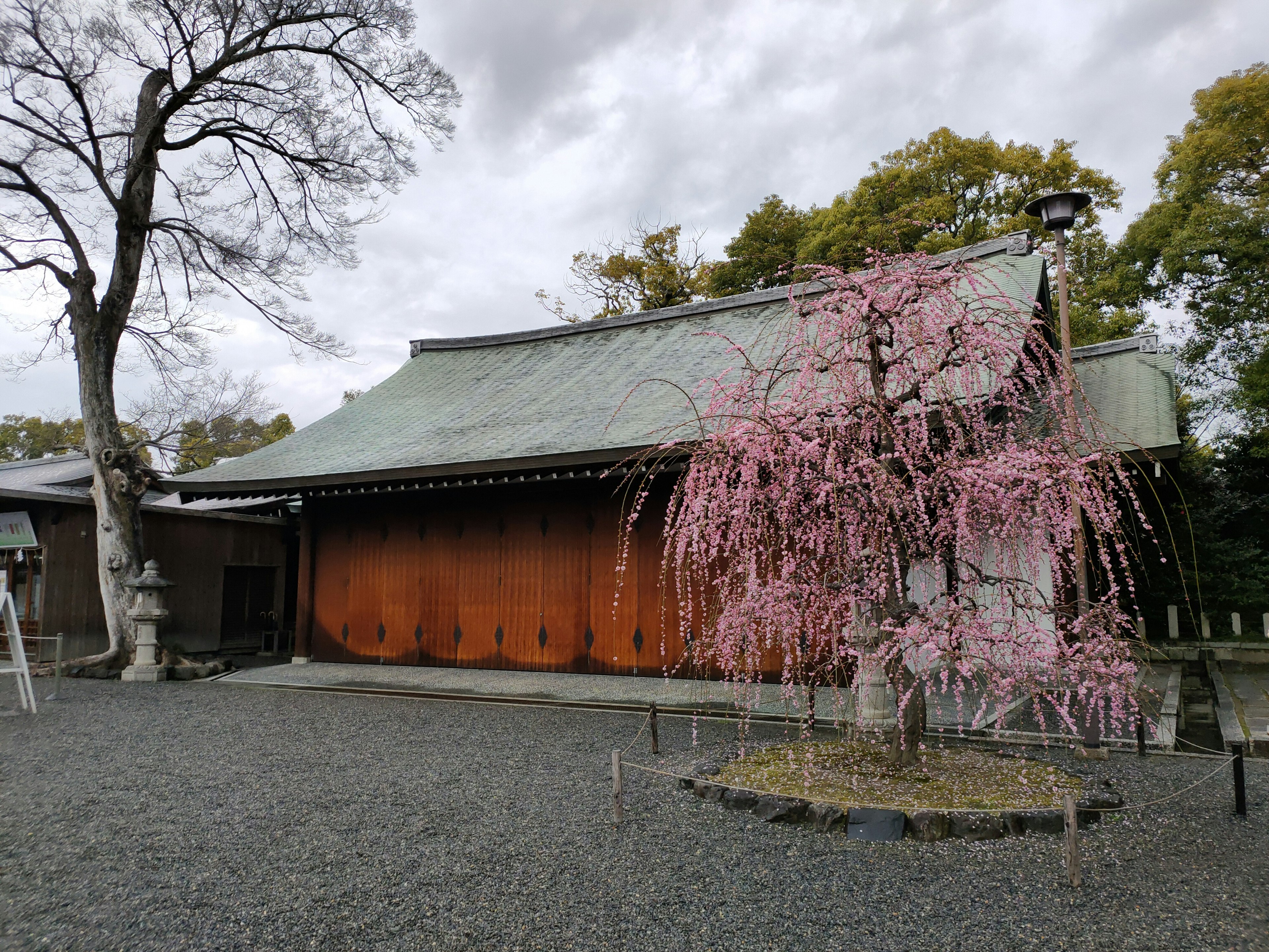 Kirschbaum und traditionelles japanisches Gebäude in einer ruhigen Landschaft