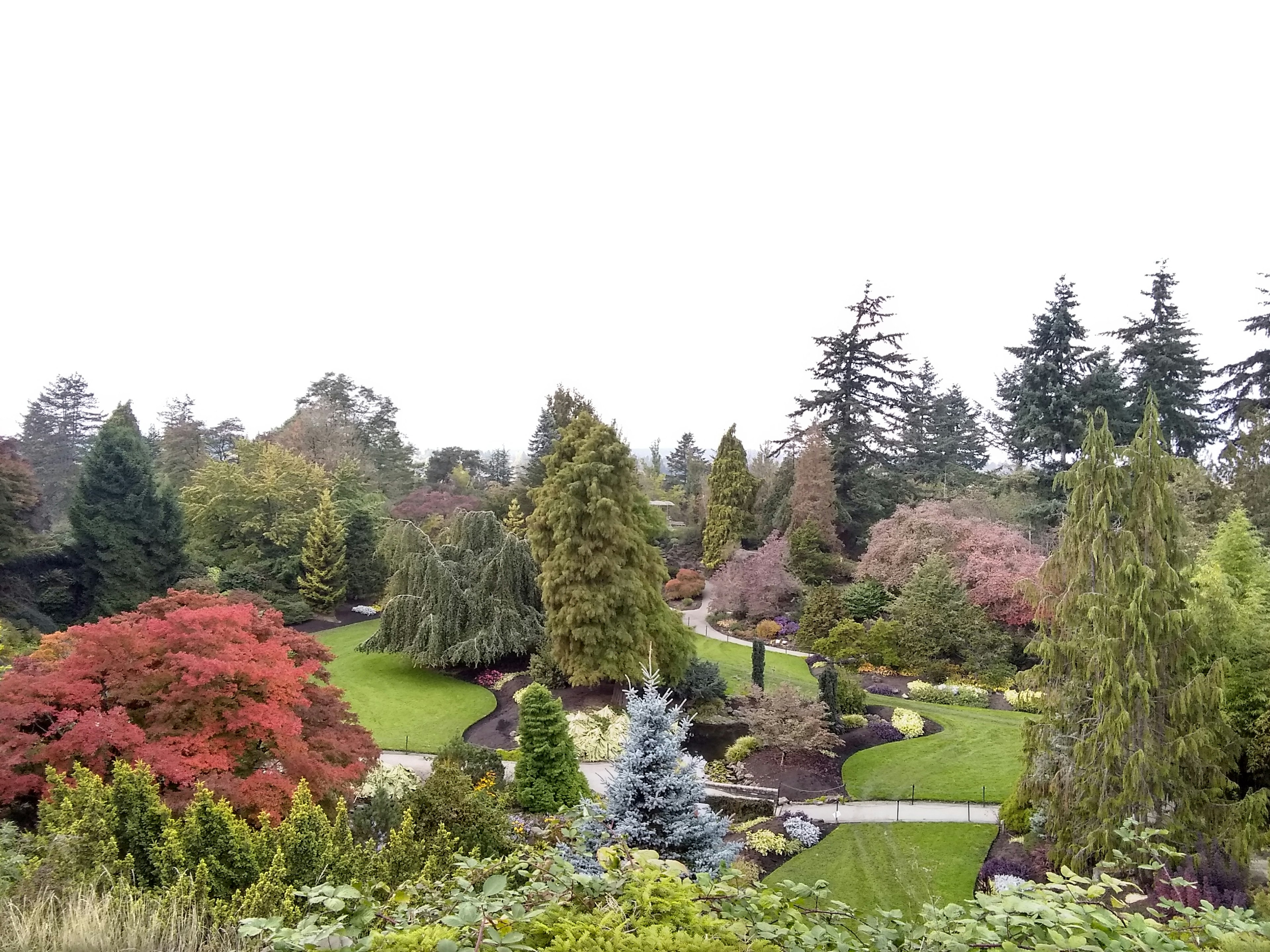 Vista escénica de un hermoso jardín con árboles verdes y rojos