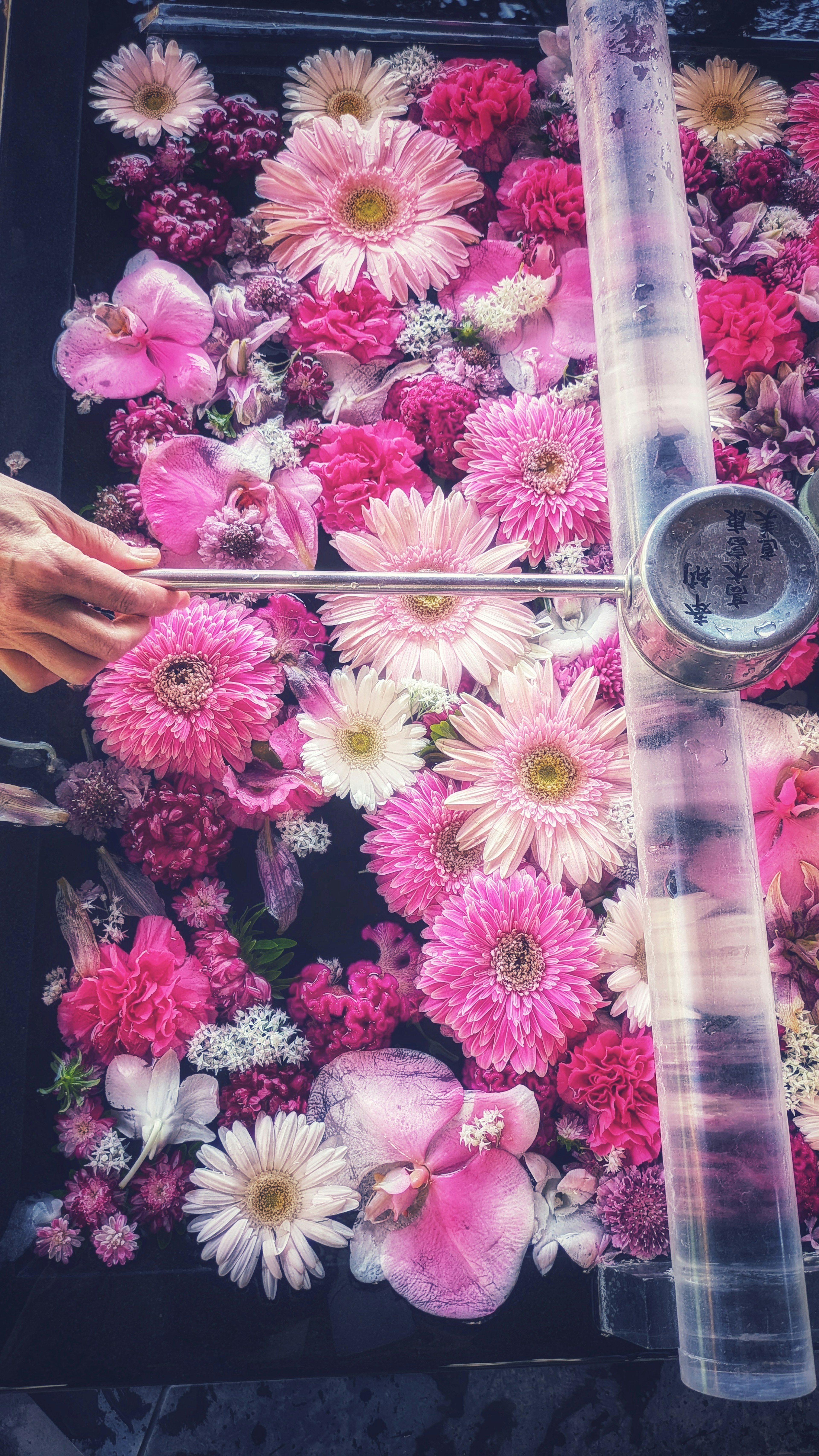 A hand arranging colorful flowers on water