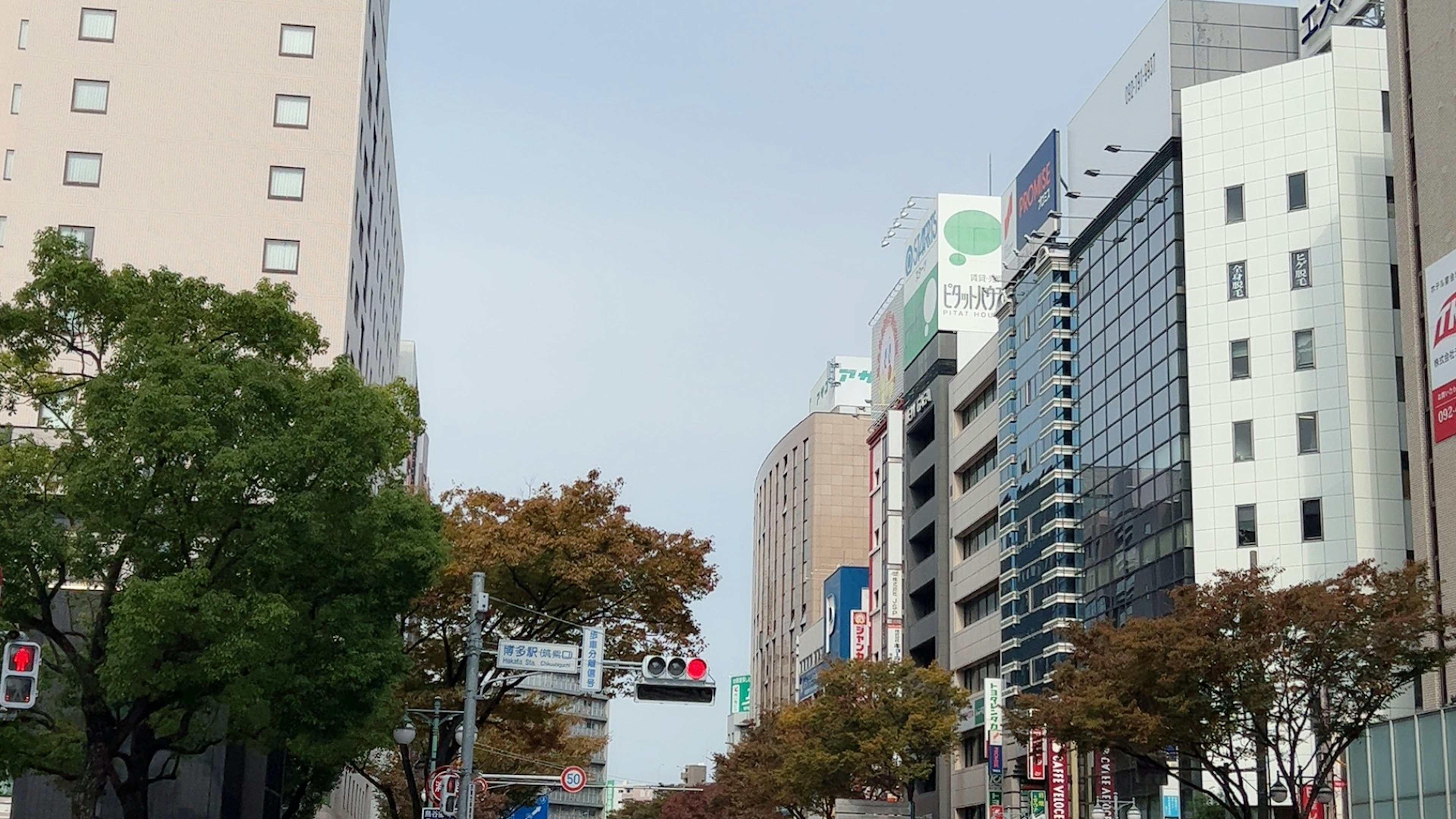 Urban landscape featuring city buildings and autumn trees