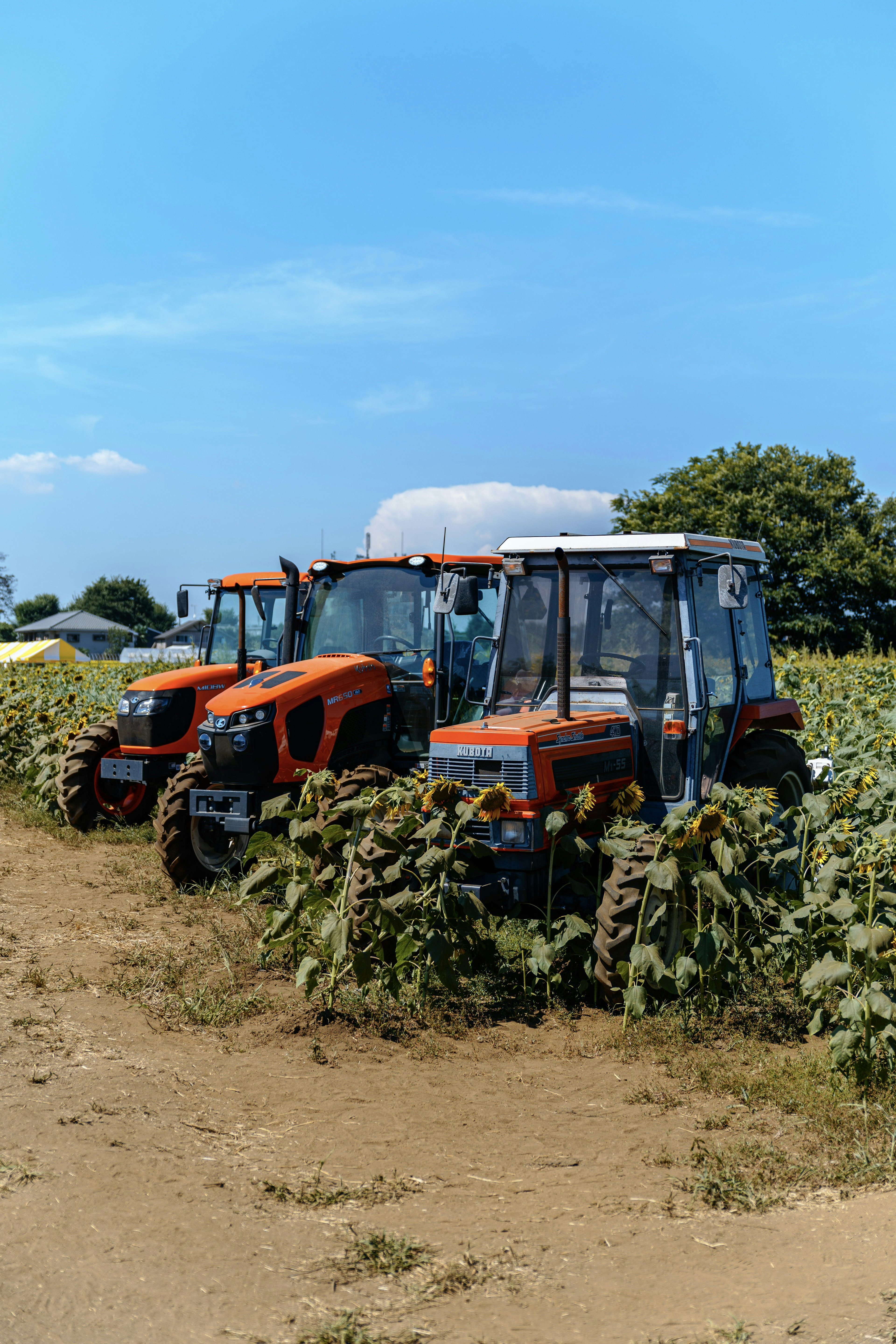 Tractors lined up in a field under a blue sky