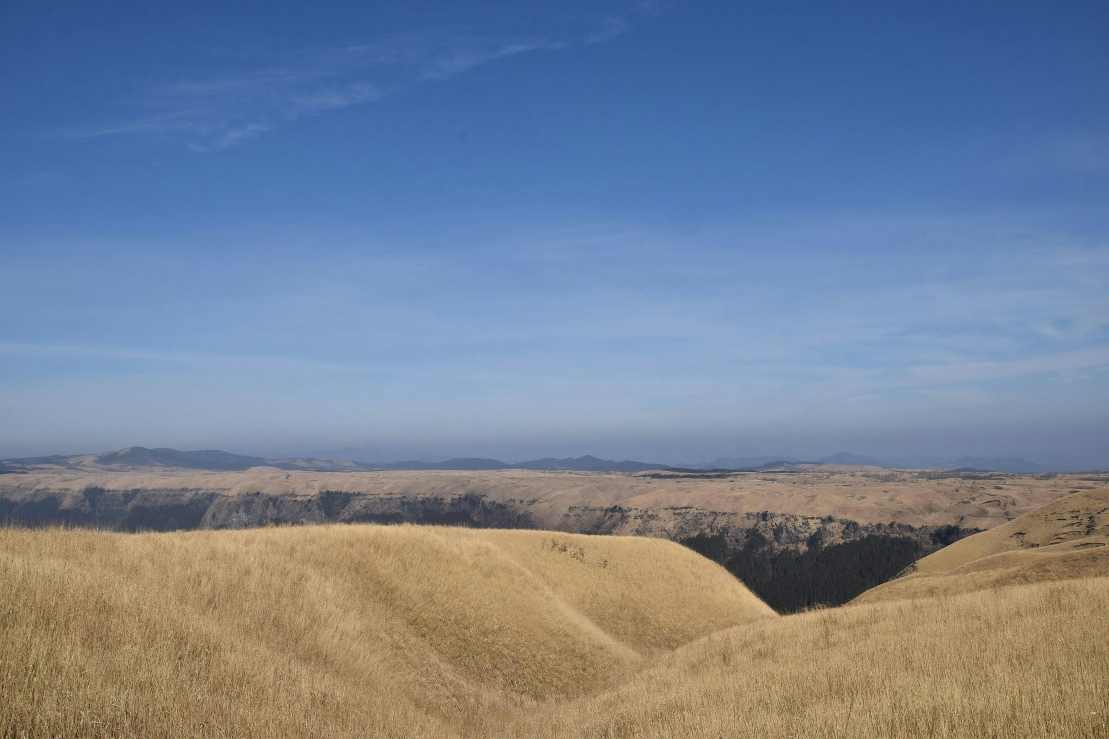 Weite goldene Graslandschaften unter einem klaren blauen Himmel