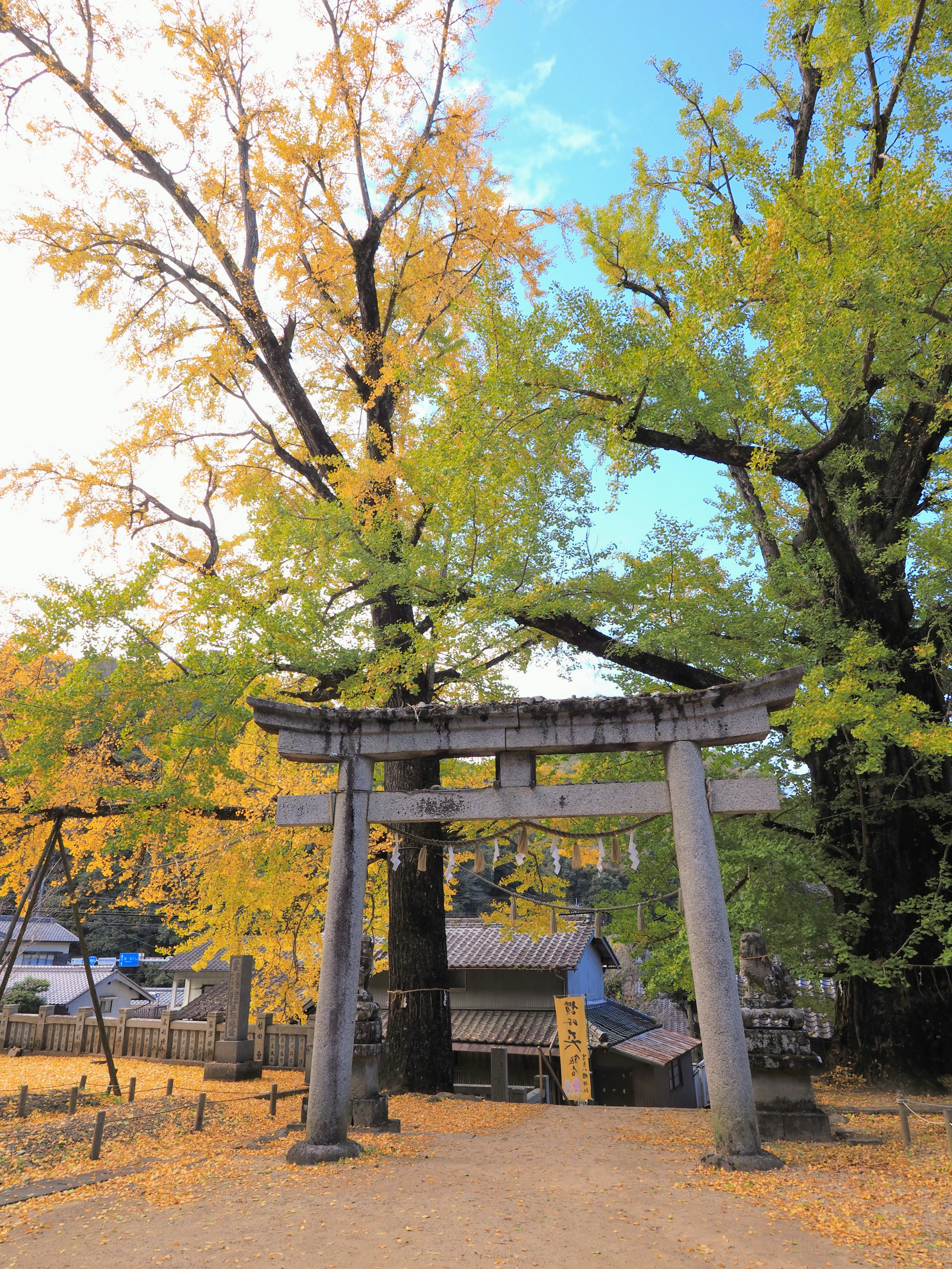 Cảnh quan của cổng torii được bao quanh bởi cây cối mùa thu