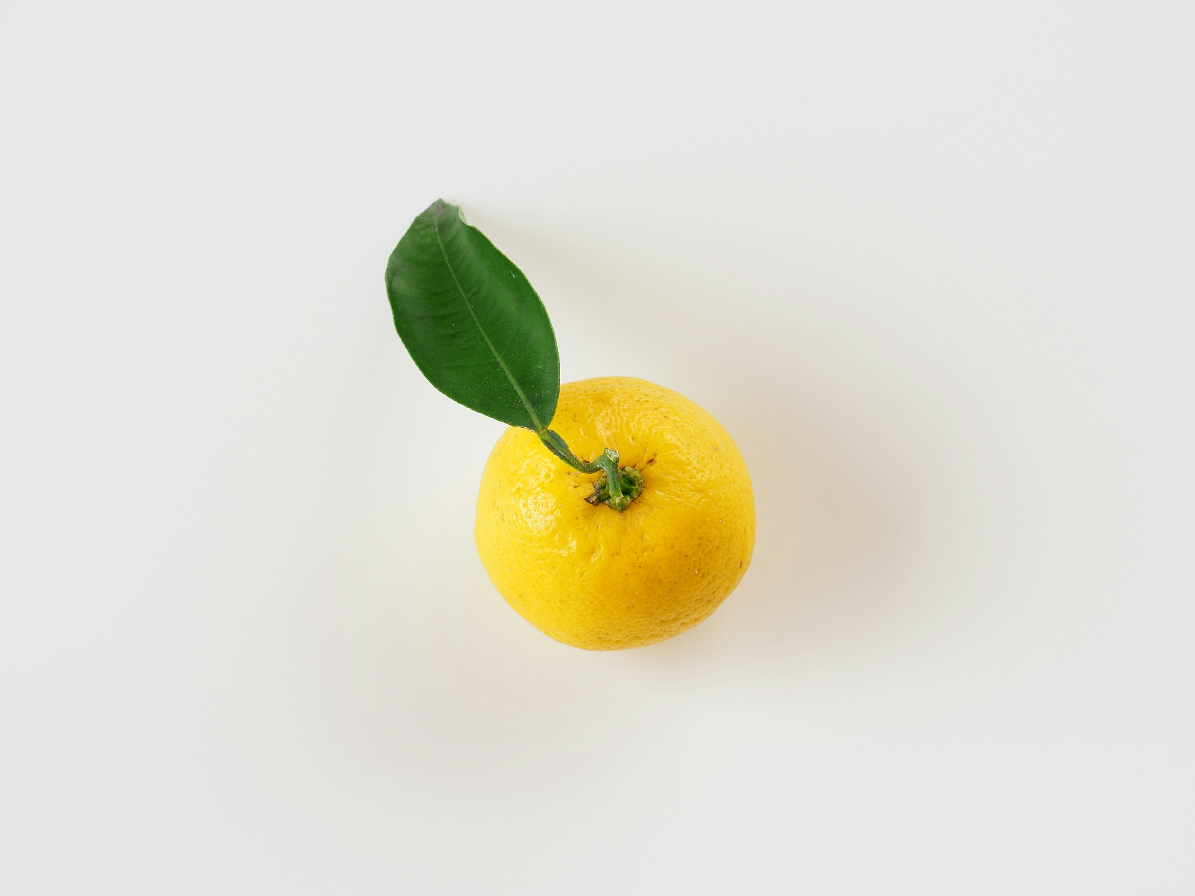 Yellow citrus fruit with green leaf