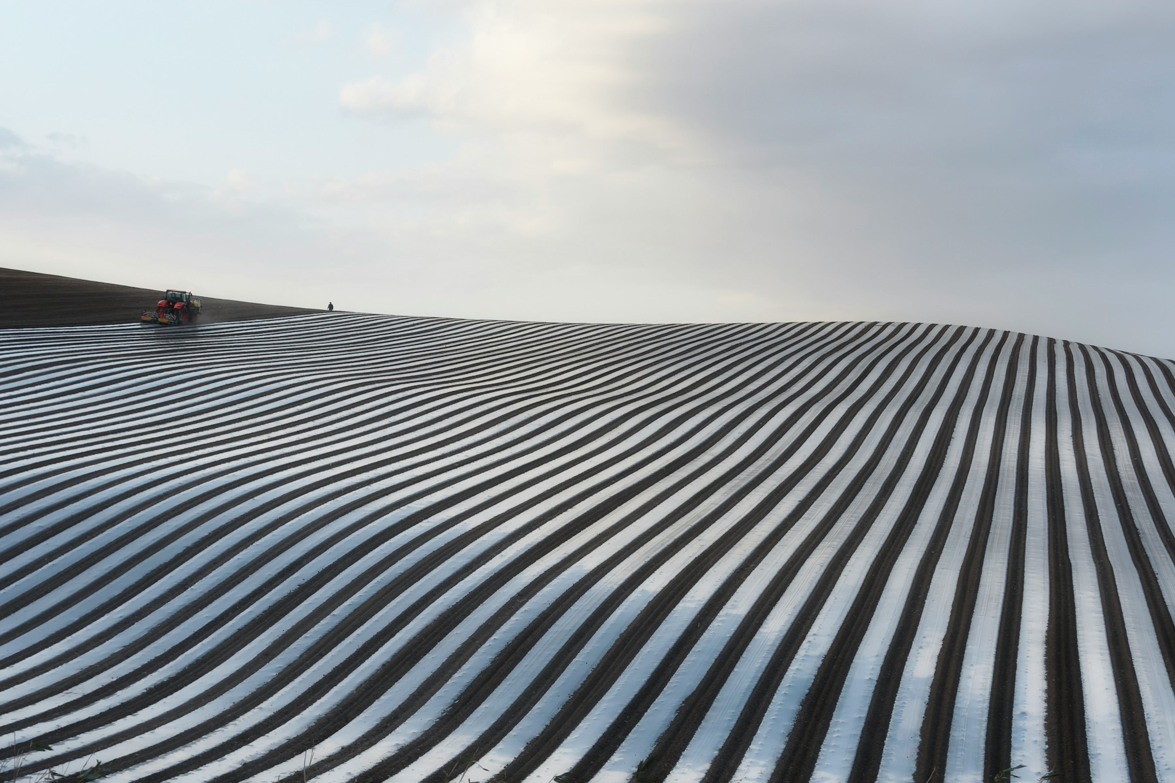 Paysage agricole rayé avec des collines ondulées et un ciel nuageux