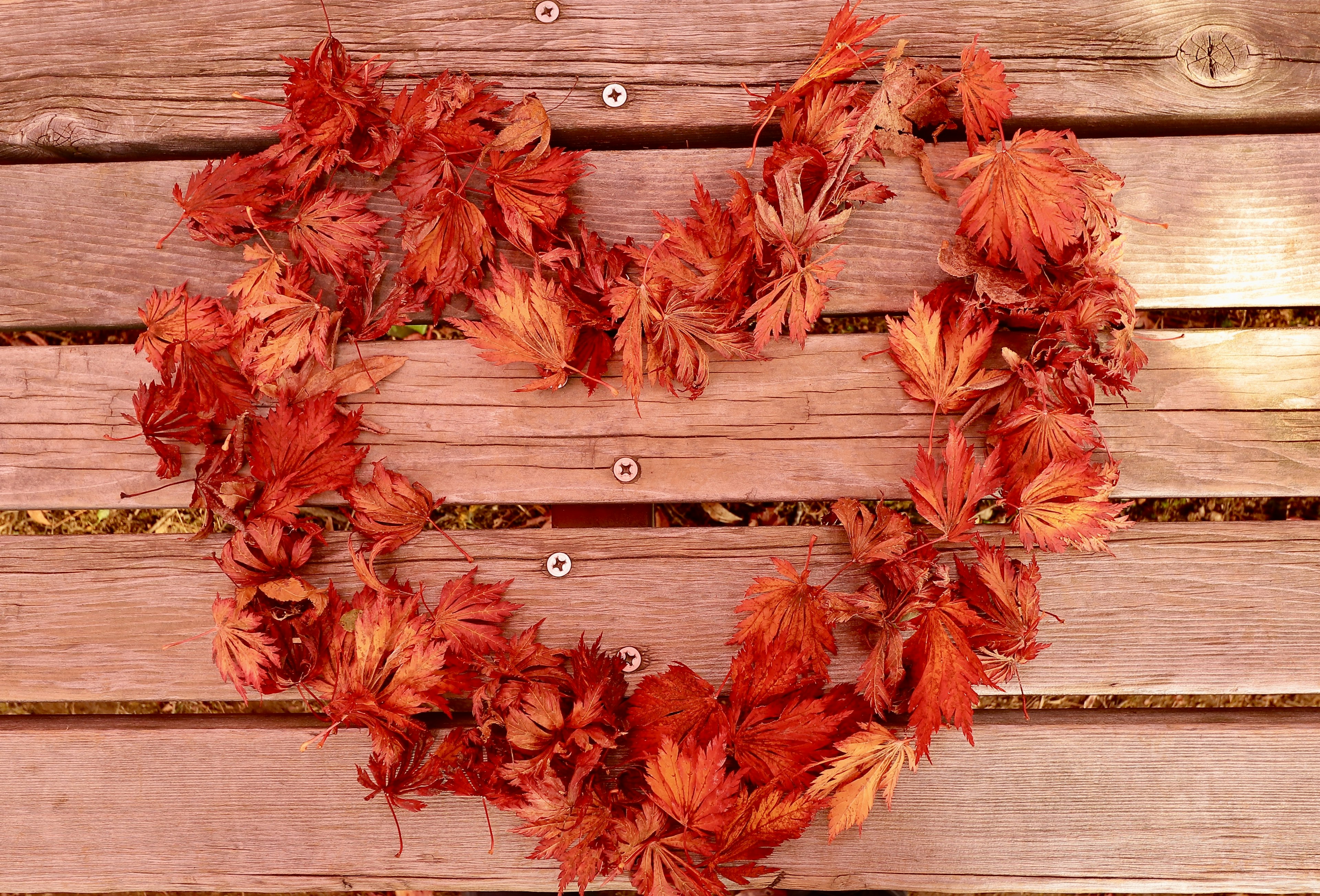 Red leaves arranged in a heart shape on wooden planks