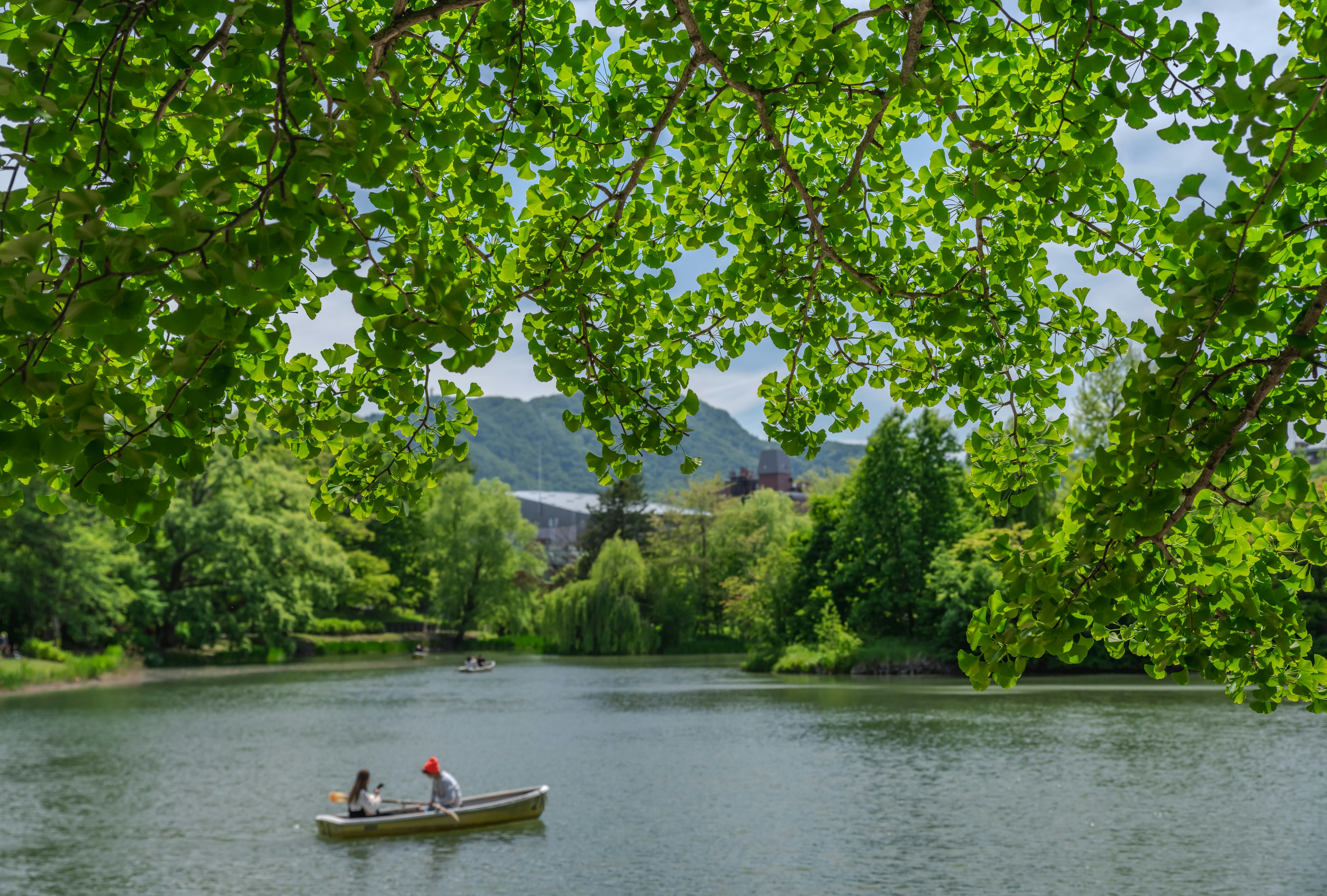 Two people rowing a boat on a serene lake surrounded by lush greenery