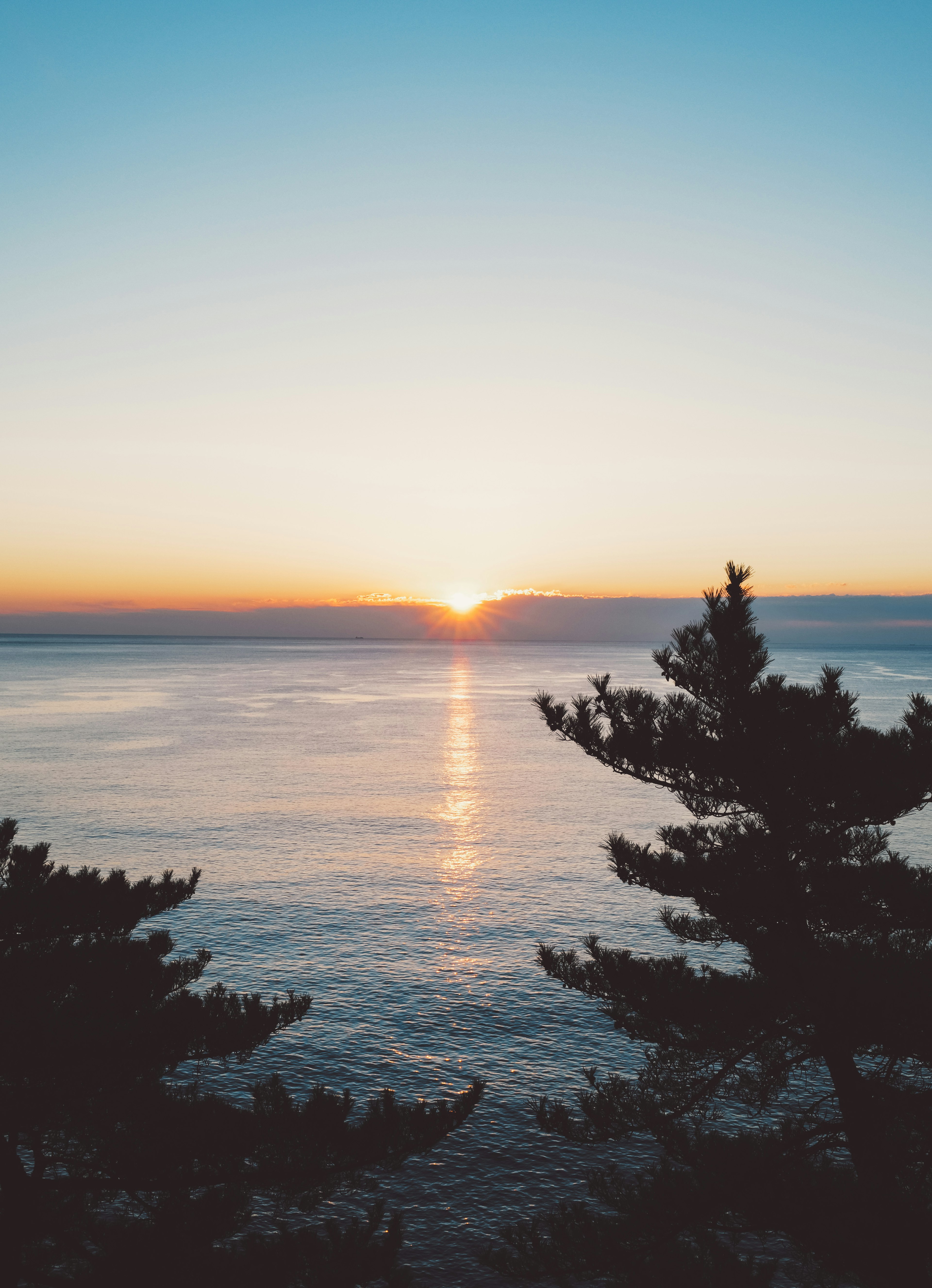 Silhouette of trees against a beautiful sunset over the ocean