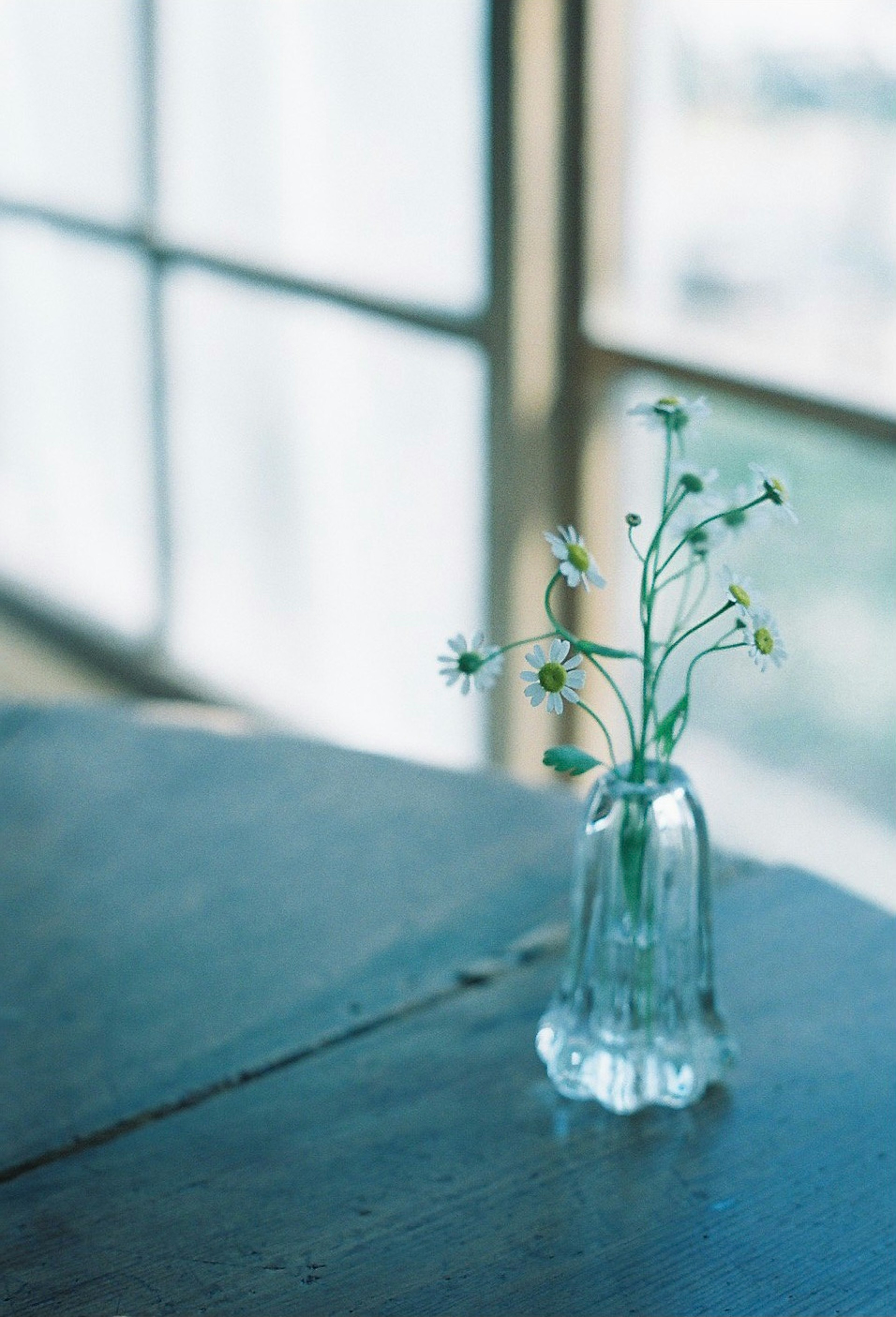 Un pequeño arreglo floral en un jarrón azul sobre una mesa de madera