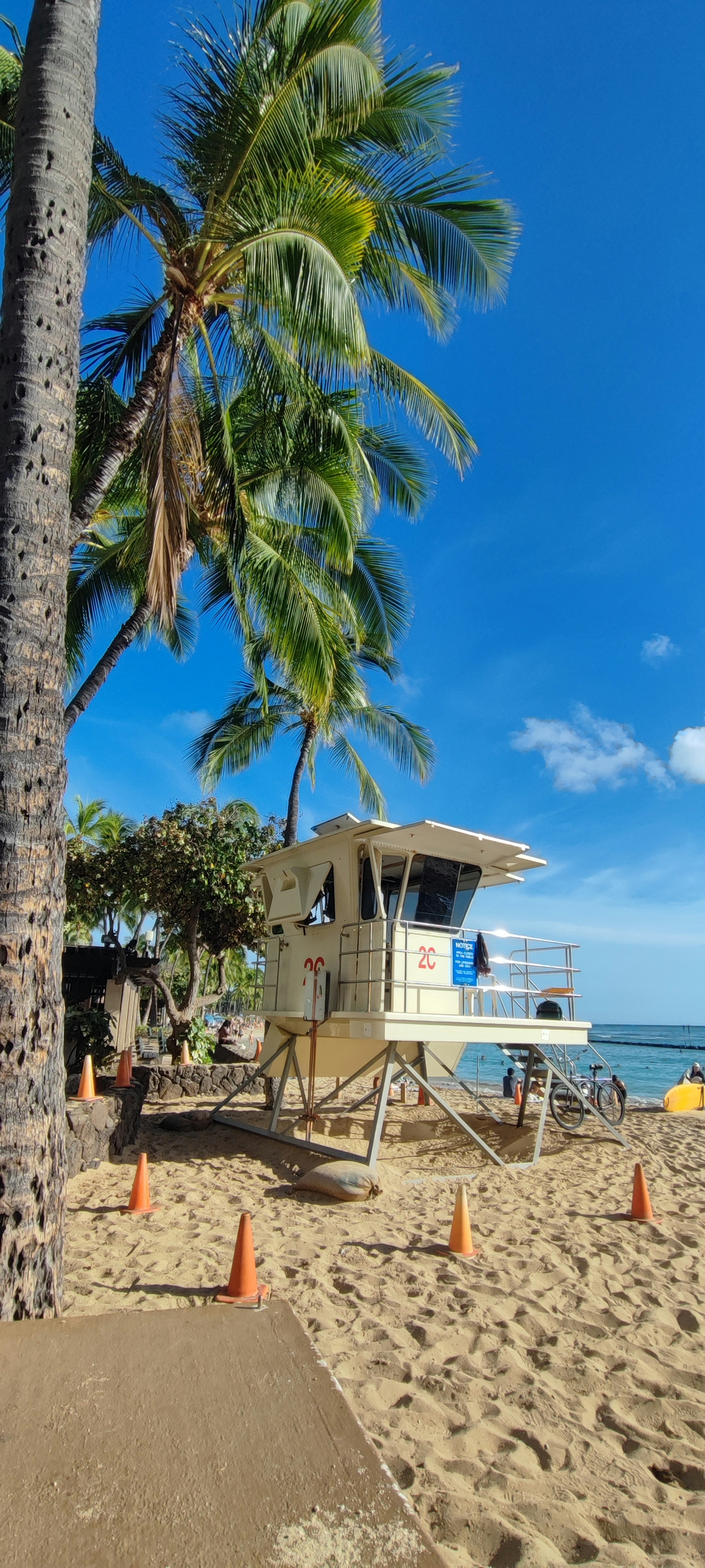 Beach scene featuring a lifeguard tower and palm trees under a blue sky