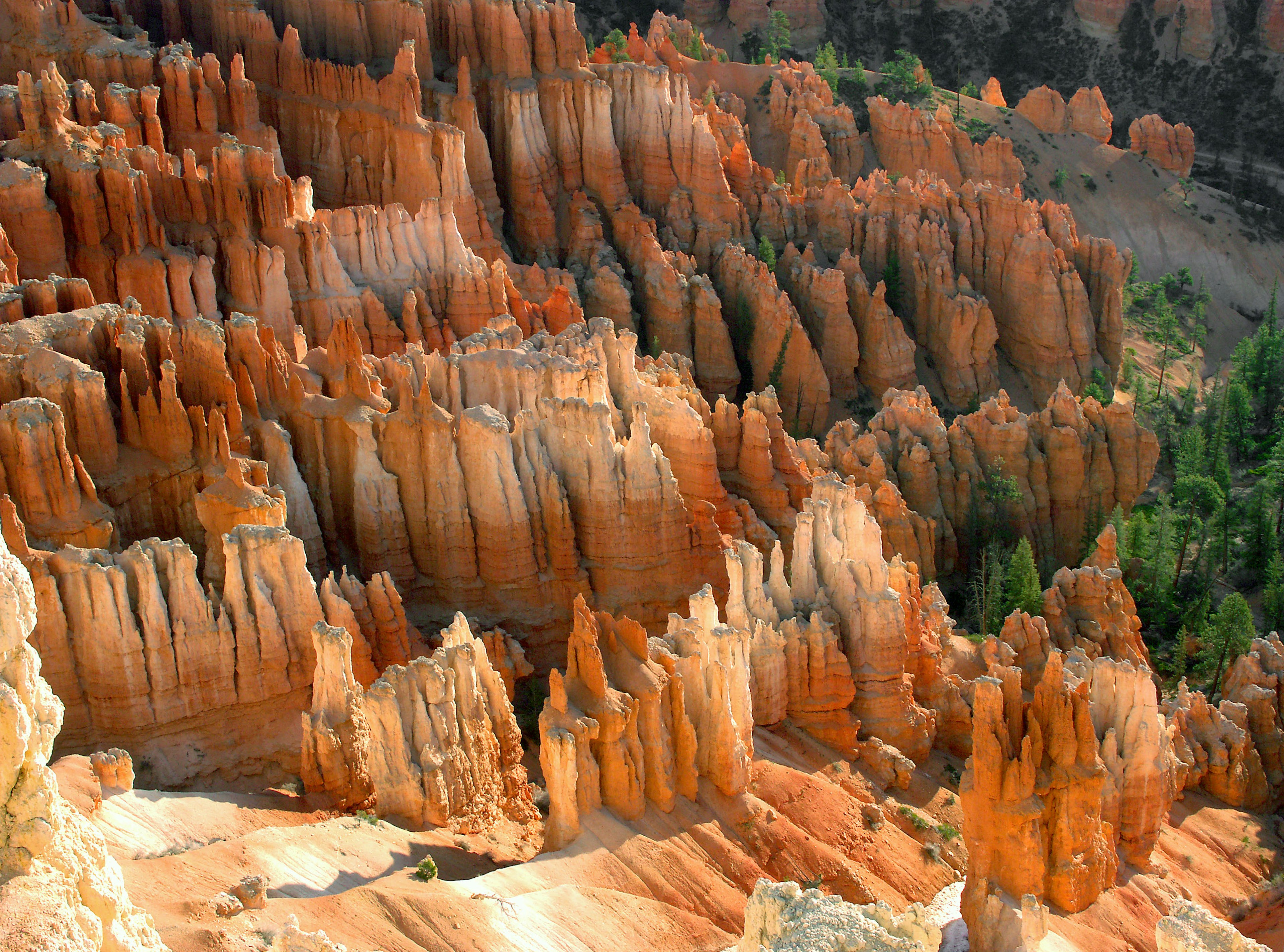 Các hình thức hoodoo màu cam ở Vườn quốc gia Bryce Canyon