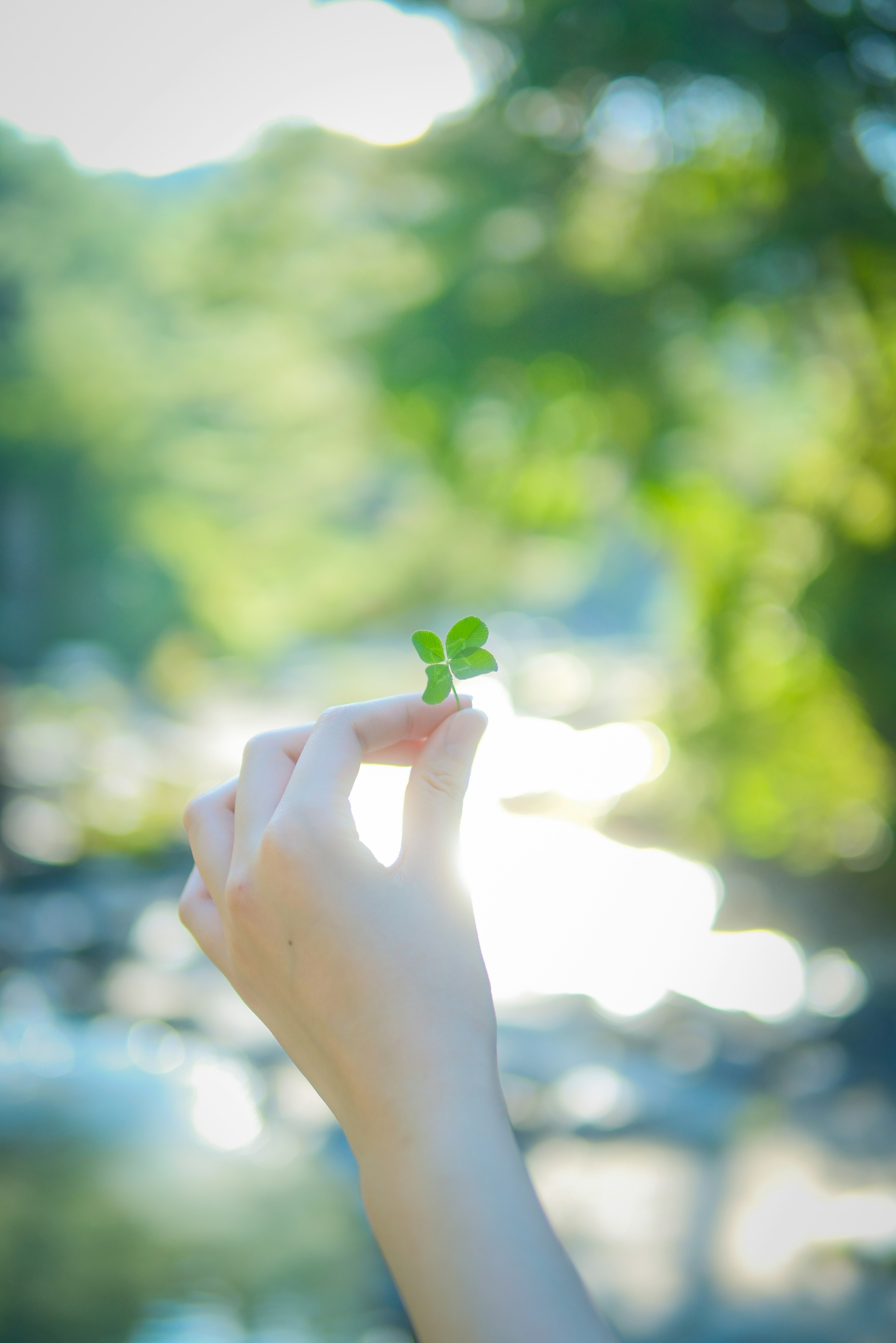 A hand holding a four-leaf clover with a blurred green natural background