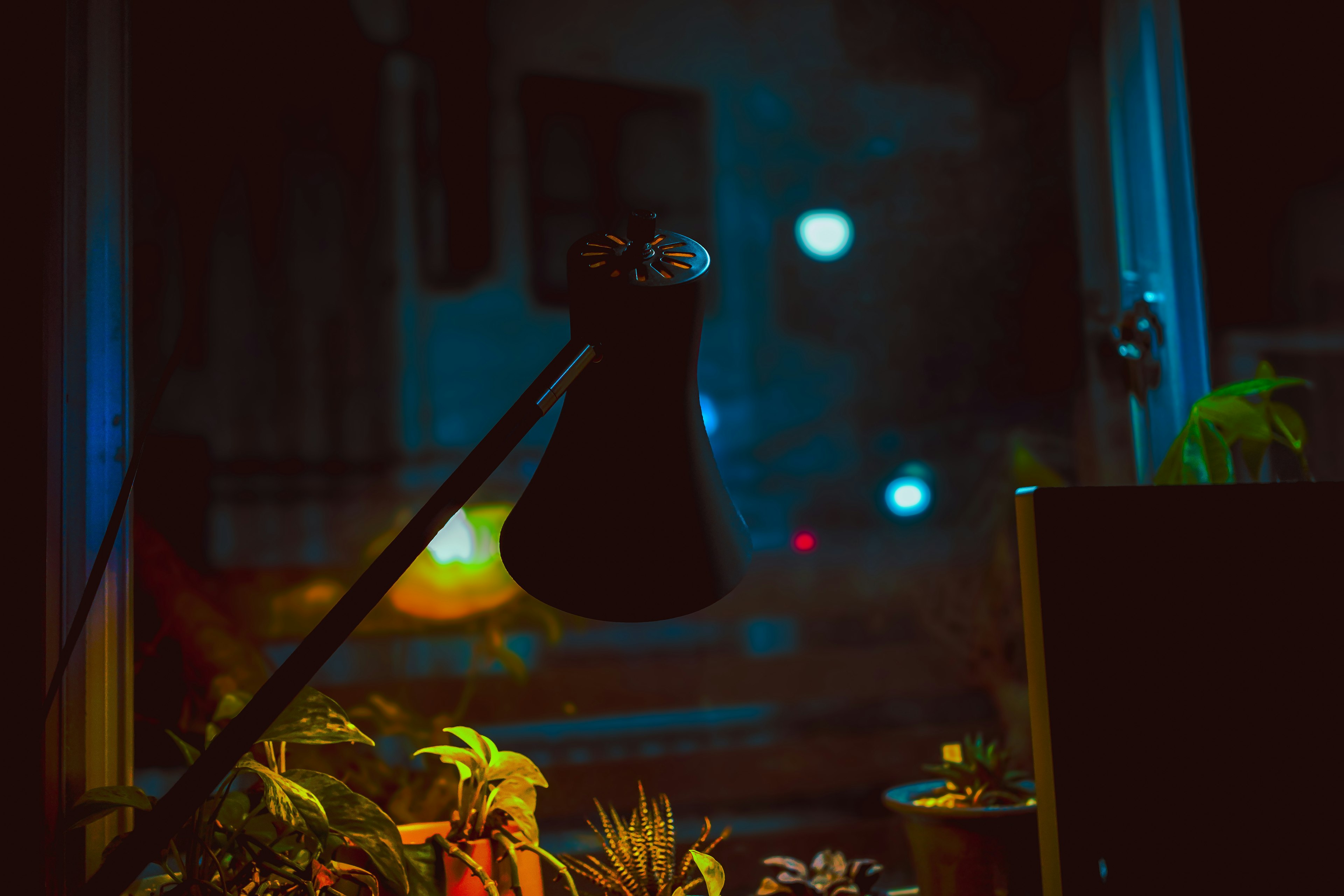 Black desk lamp and plant silhouettes near a window in a dark room