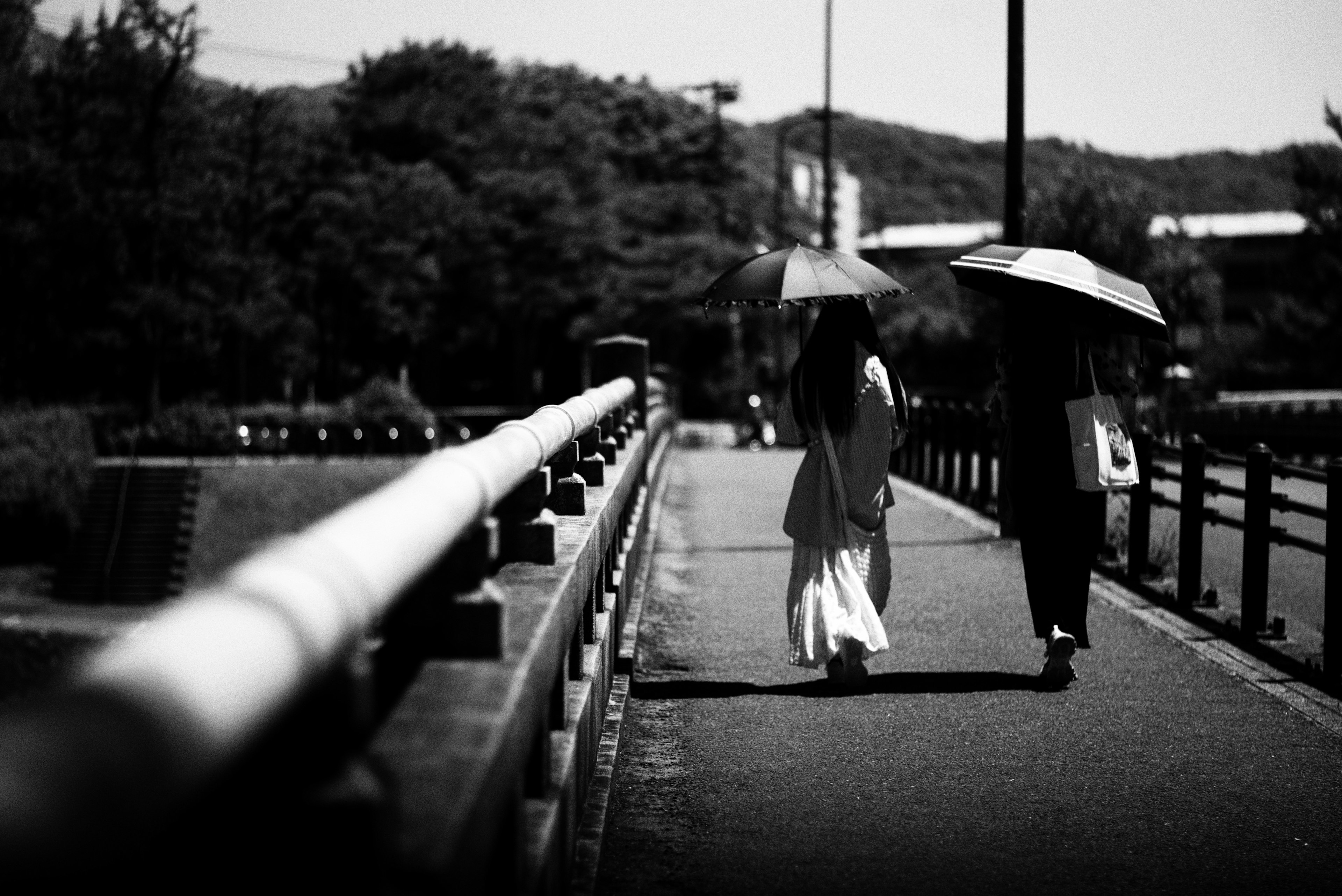 Two people walking in a park holding umbrellas in black and white