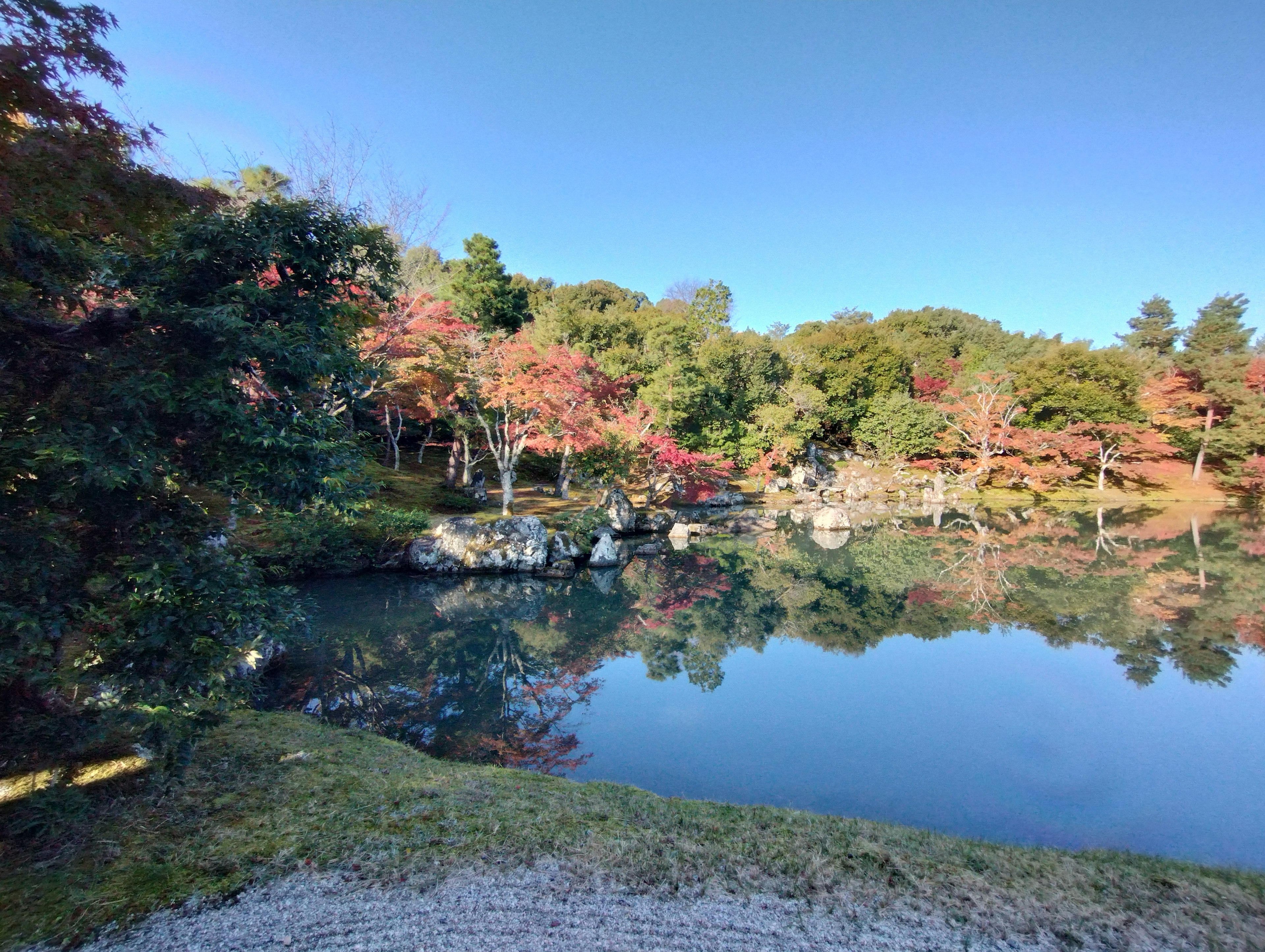 静かな池とその周囲の紅葉した木々の風景