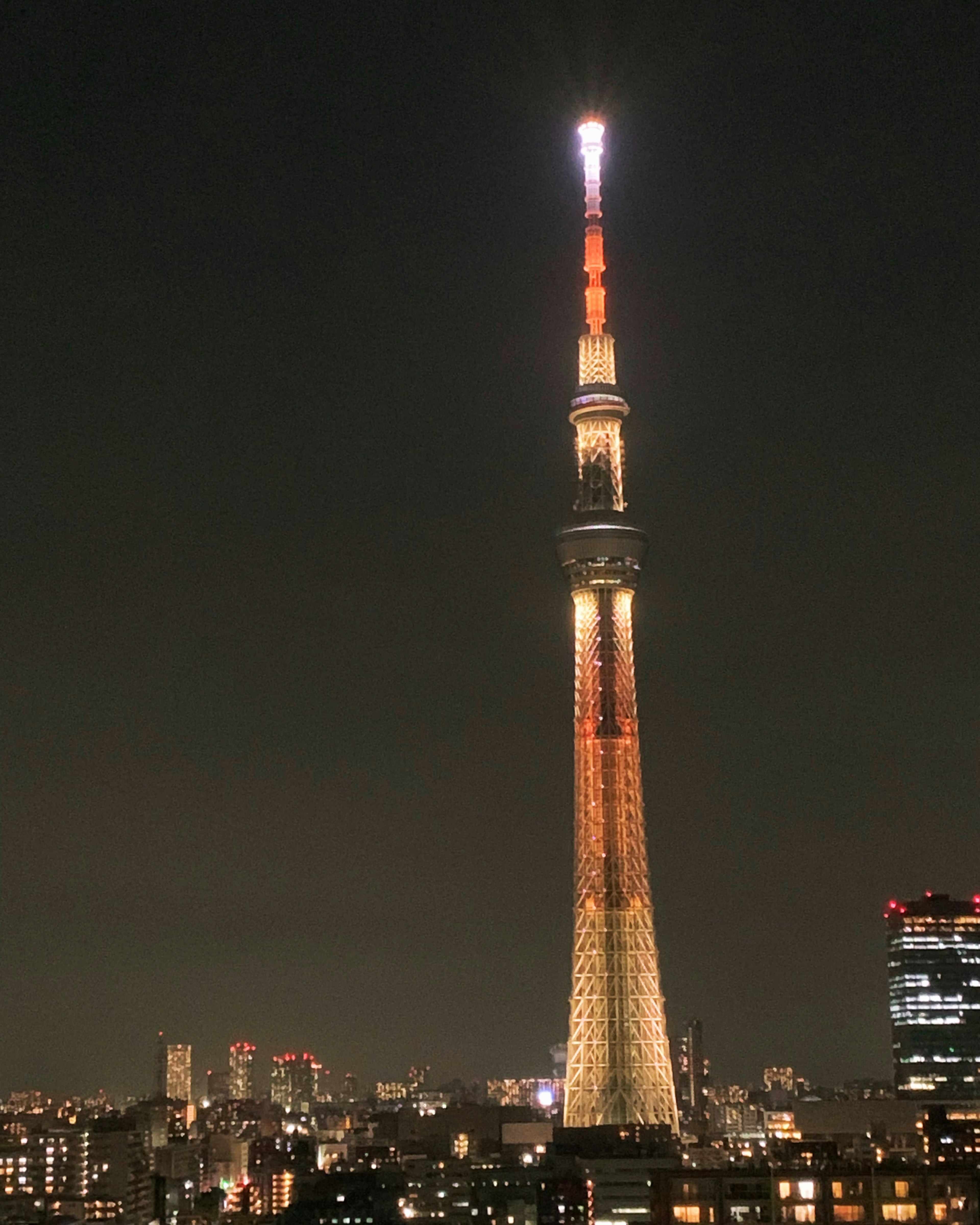 東京スカイツリーが夜に輝いている様子